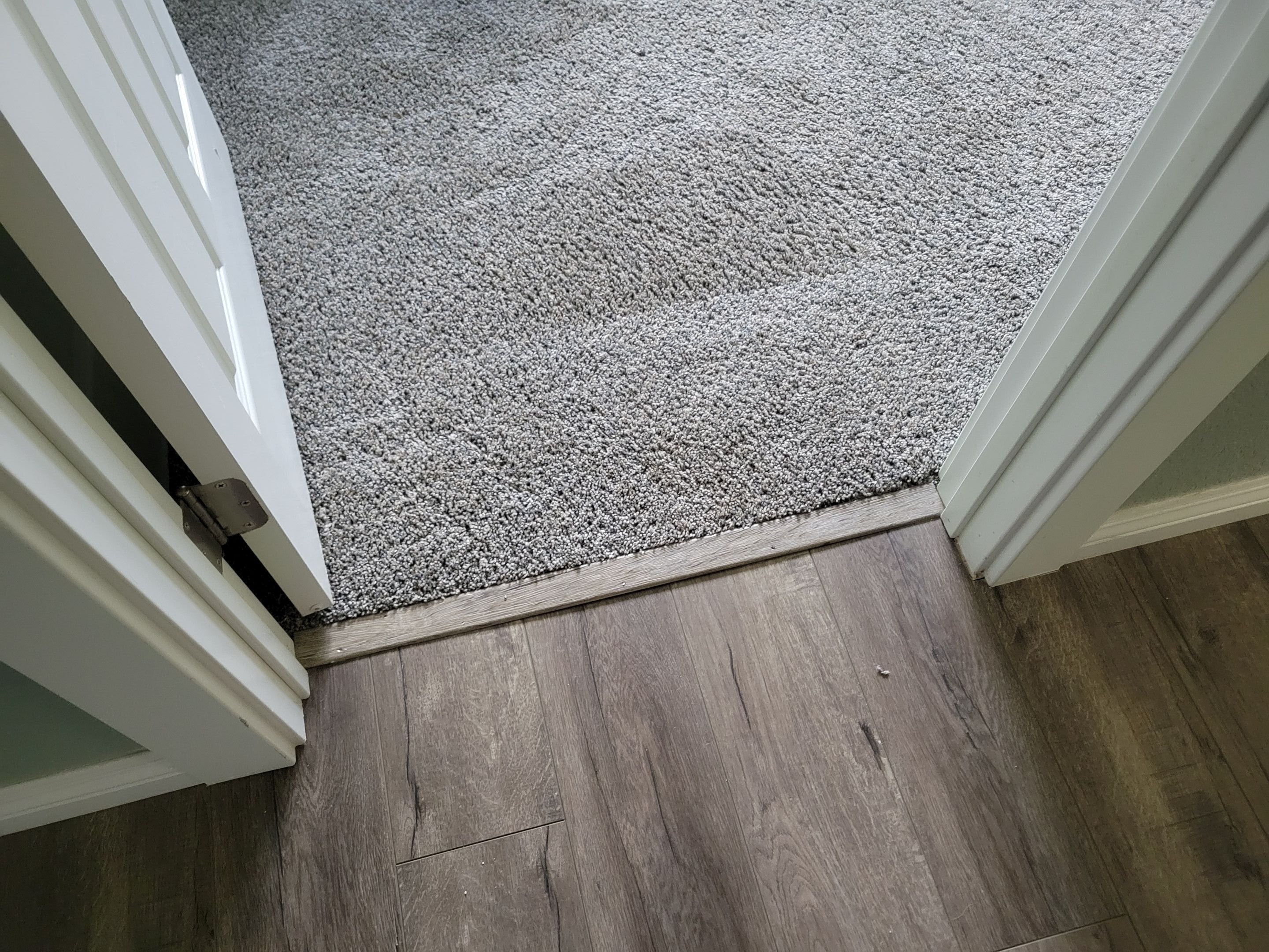 Carpet Repair, Dog Damage in West Sac by Ardent Carpet Restore LLC