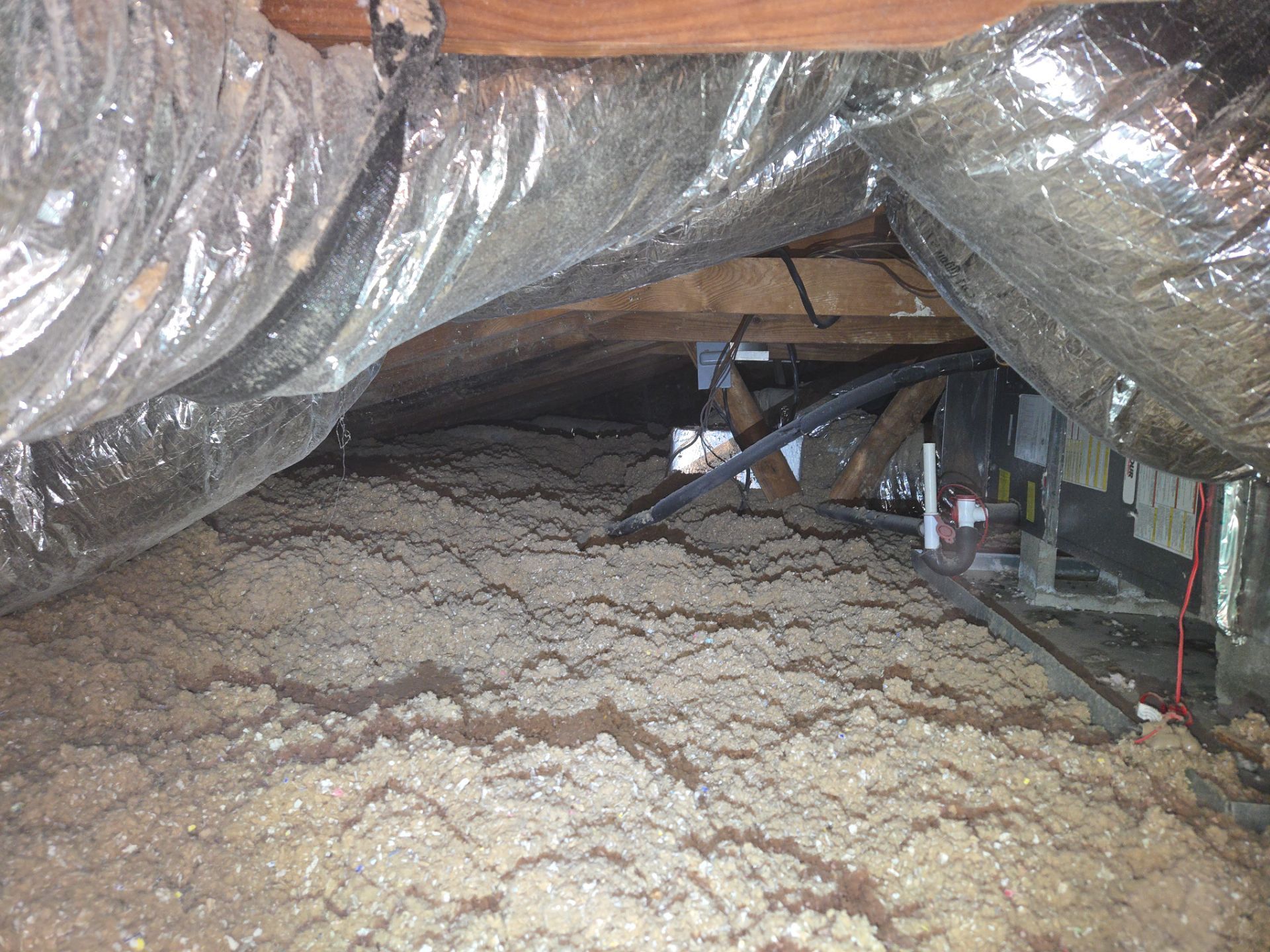 Project in Norfolk by Patriot Crawl Space Repairs