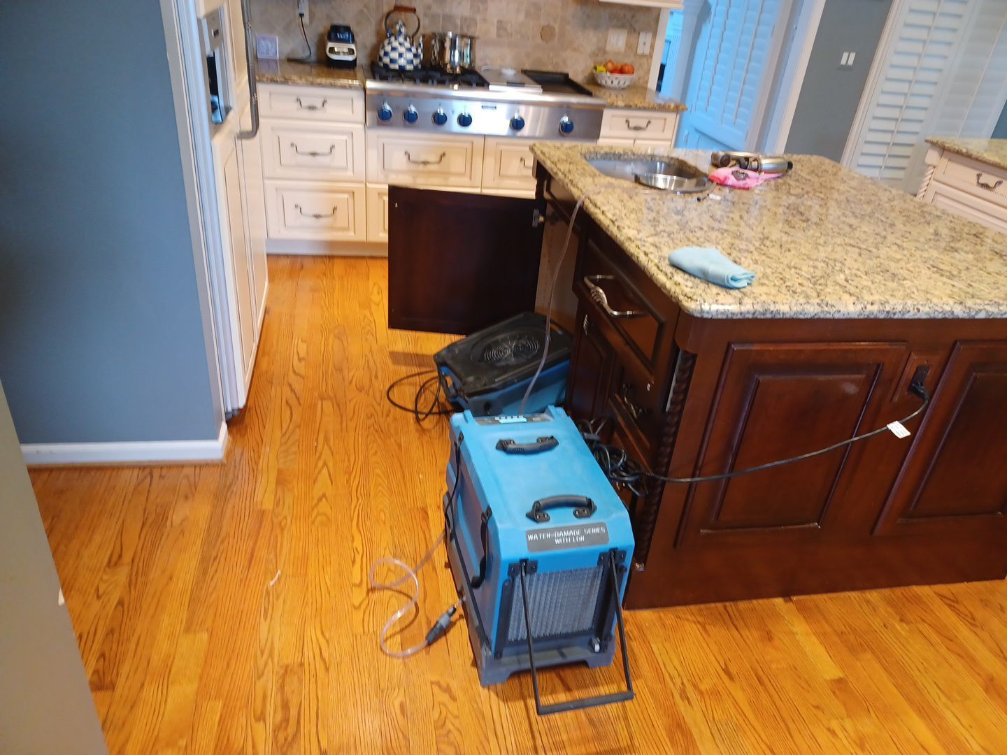 Project in Novi by EzDry Water Mitigation & Property Restoration