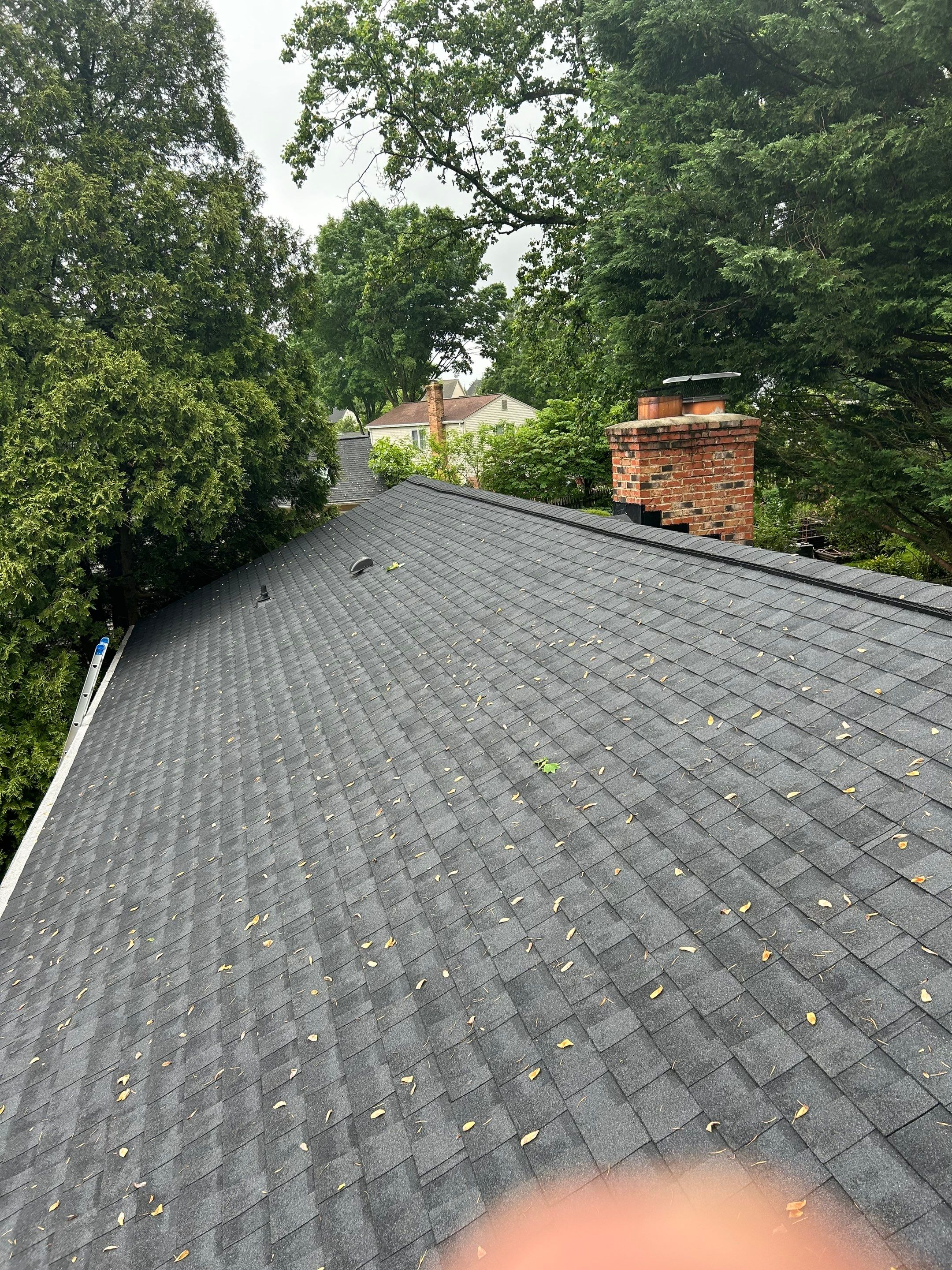 Burke: CertainTeed Landmark Designer Shingles in Moire Black by RM Banning, Inc.