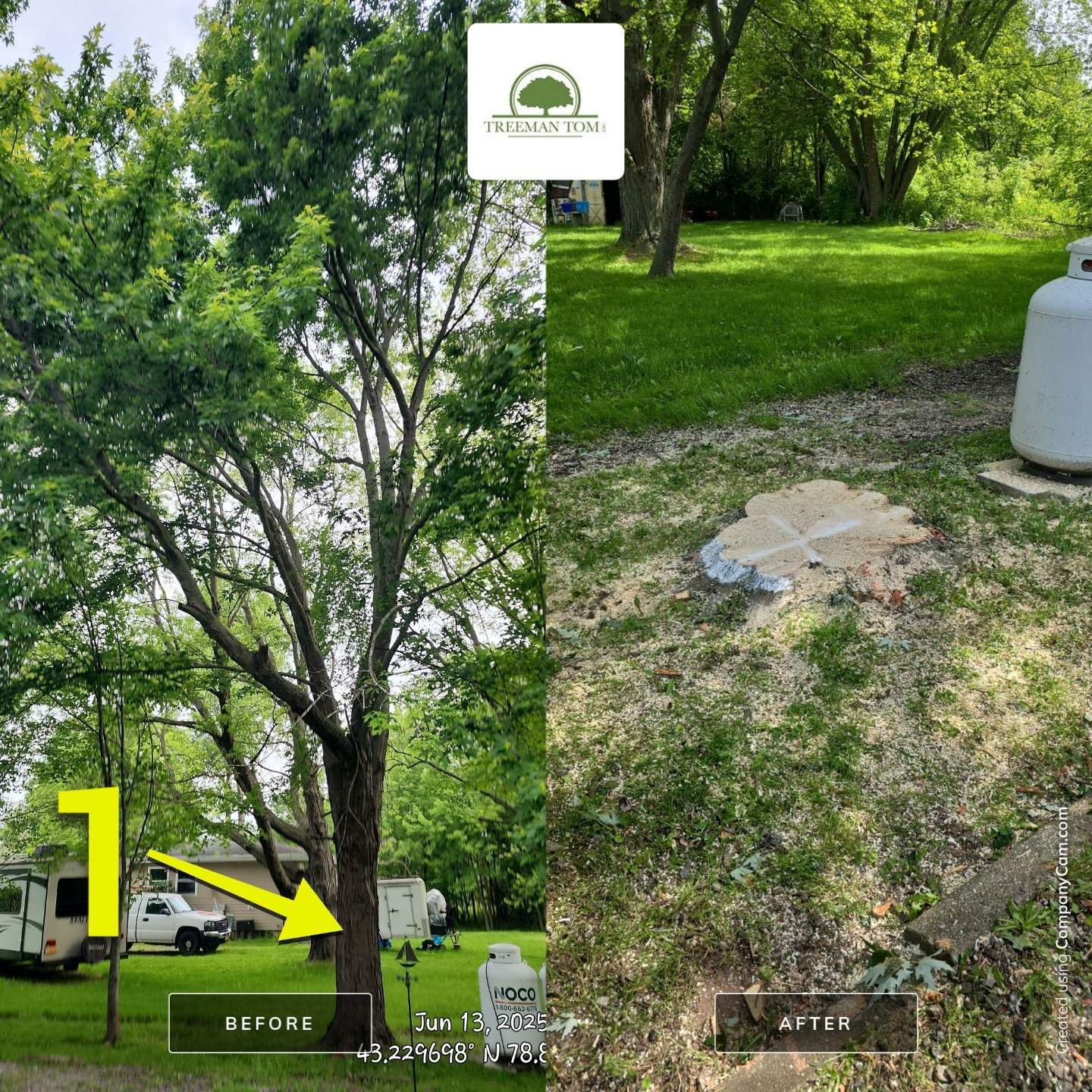 Removal for Future Projects by Treeman Tom LLC