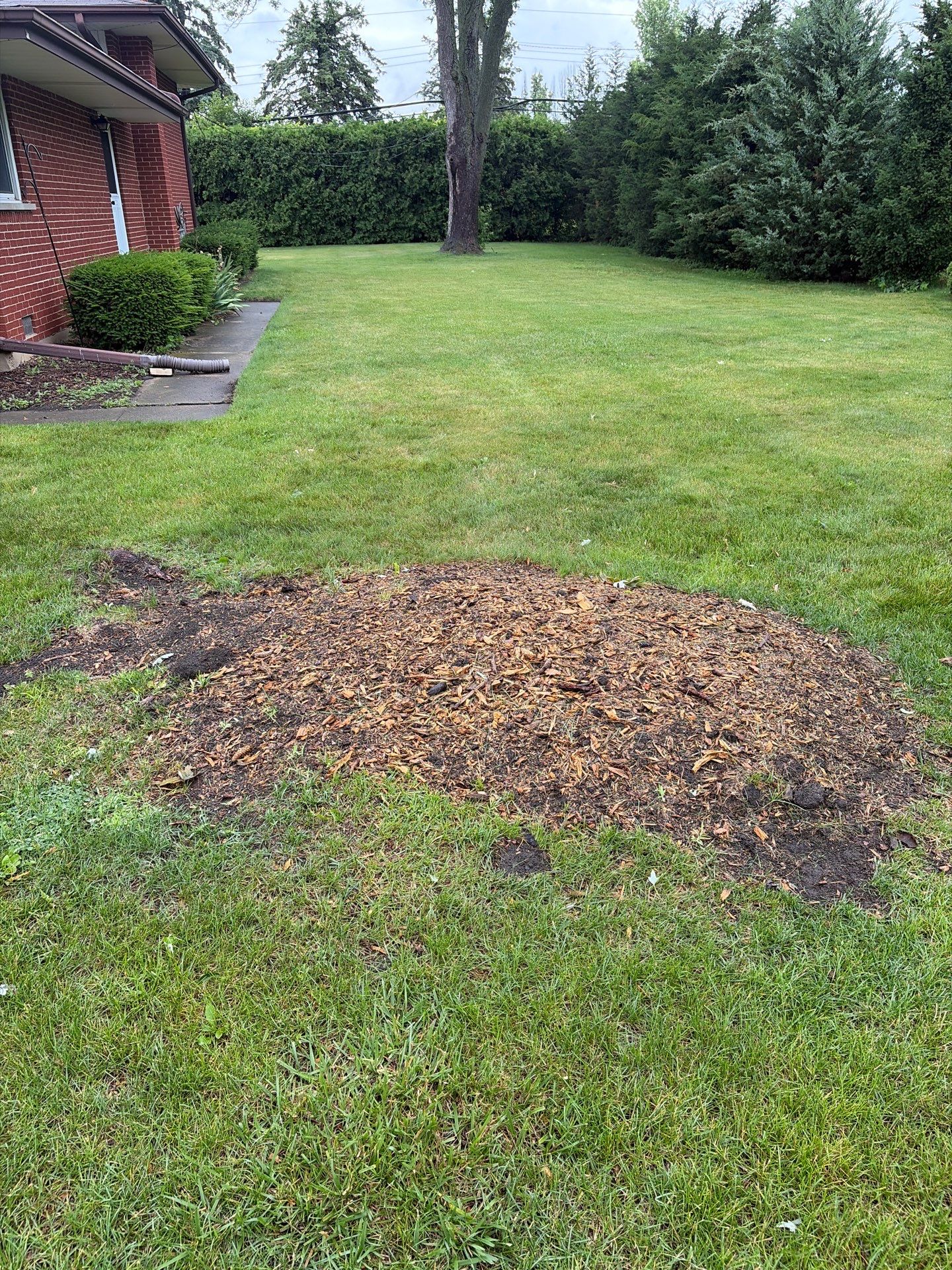 Martha C. - Mount Prospect, IL by A&N 