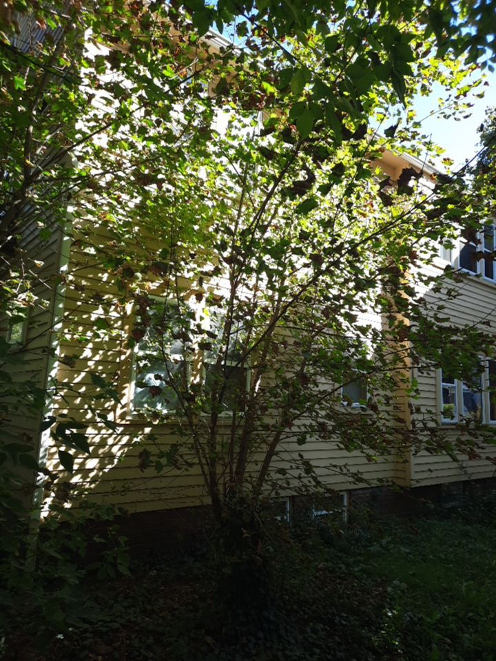 Tree Removal using Tree Removal by Mike Jones & Sons Tree Service LLC 