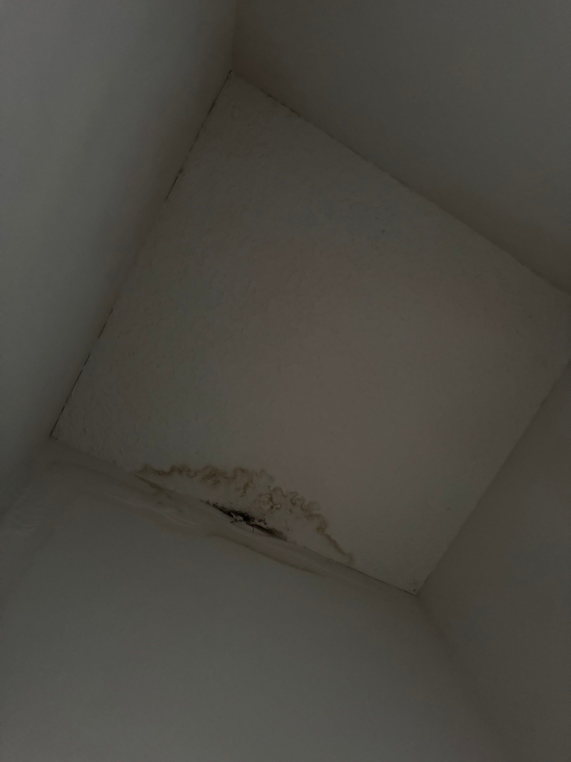 Project in Hinesville by Serene Construction