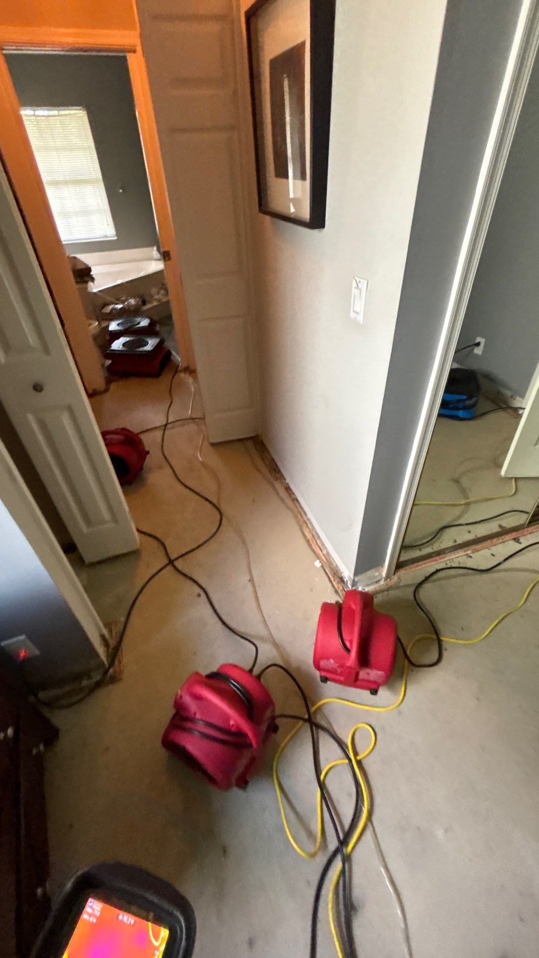 Wellington Water Damage Restoration with Thermal Imaging and Extraction by SuperClean 