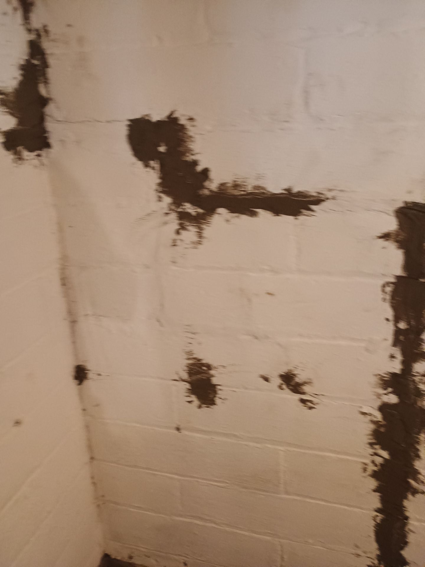 Updating Taylor's Waterproofing System by Waterproofing Northeast