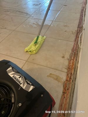 Wet Carpet Drying — Cape Coral, FL