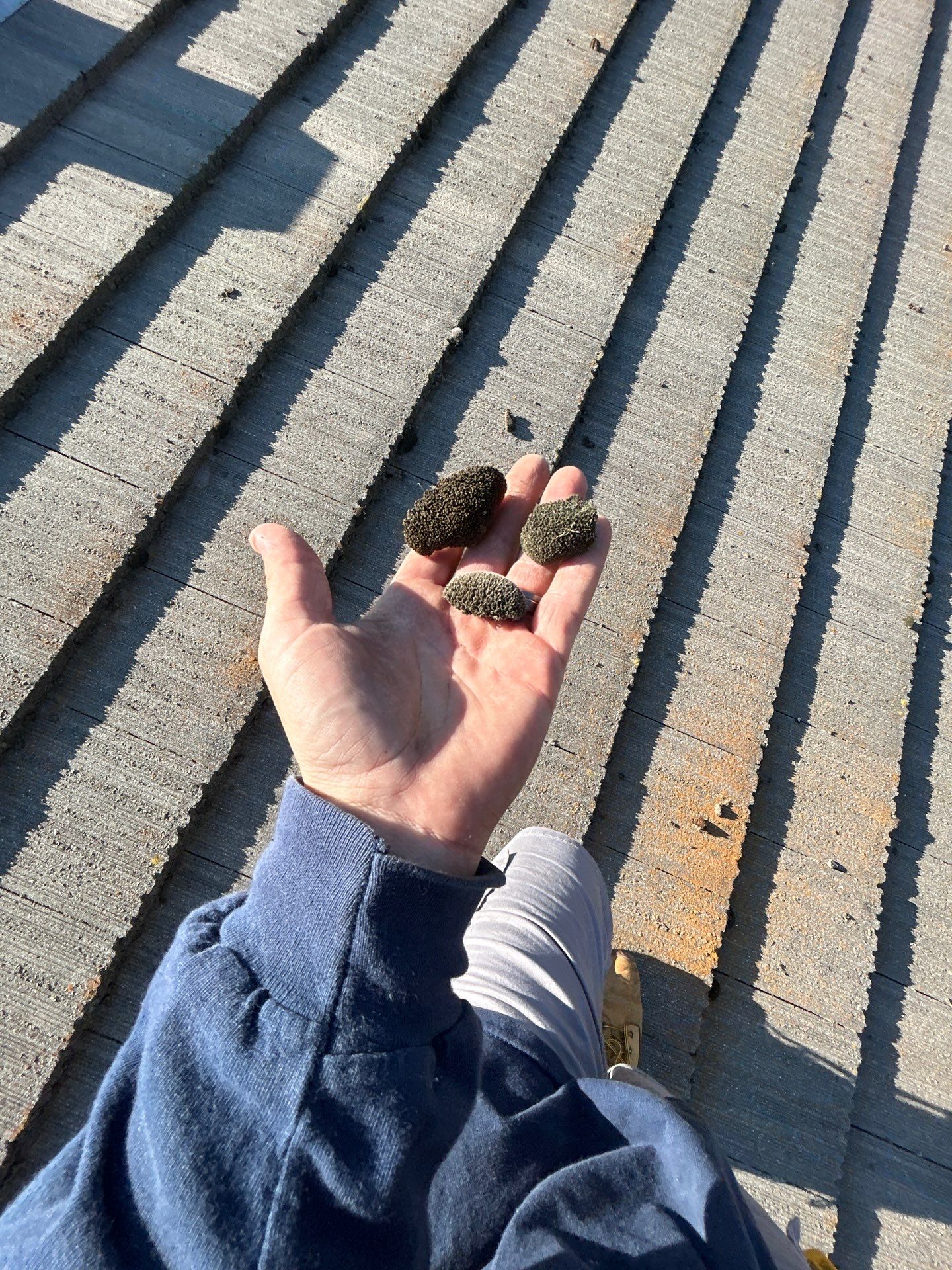 Doug McCauley by CJM Roofing