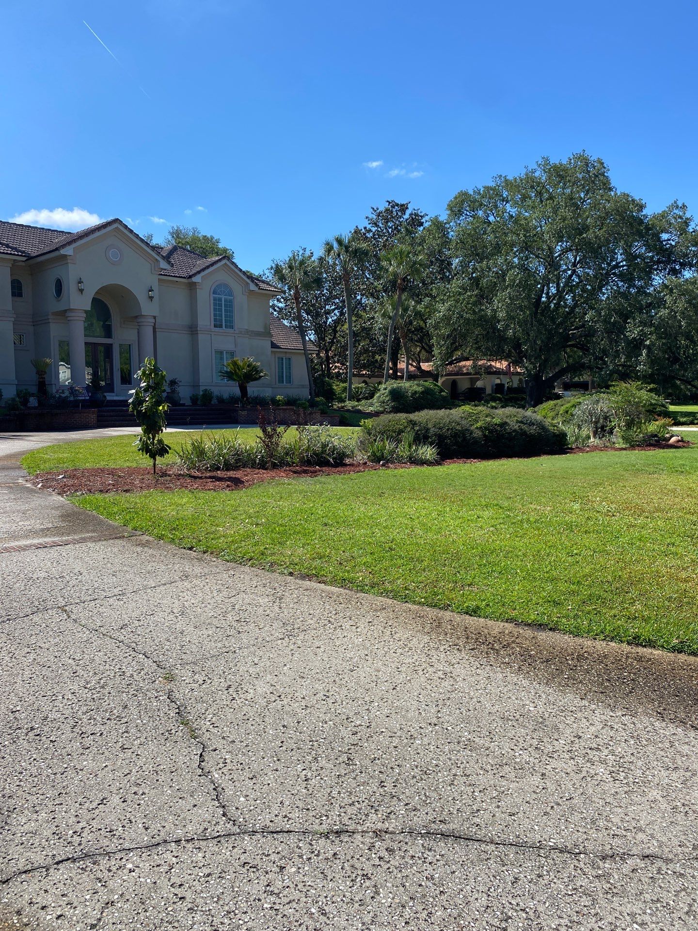 Deerwood Resident | Palm Tree Trimming & Clean-Up by ProGreen Services