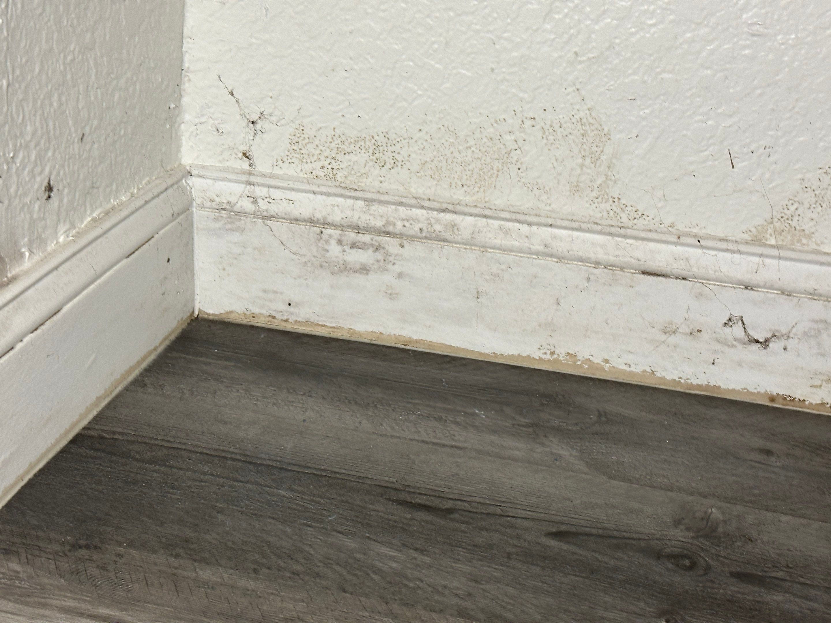 Water Damage Claim in Miami by FLAPA & KeyStone