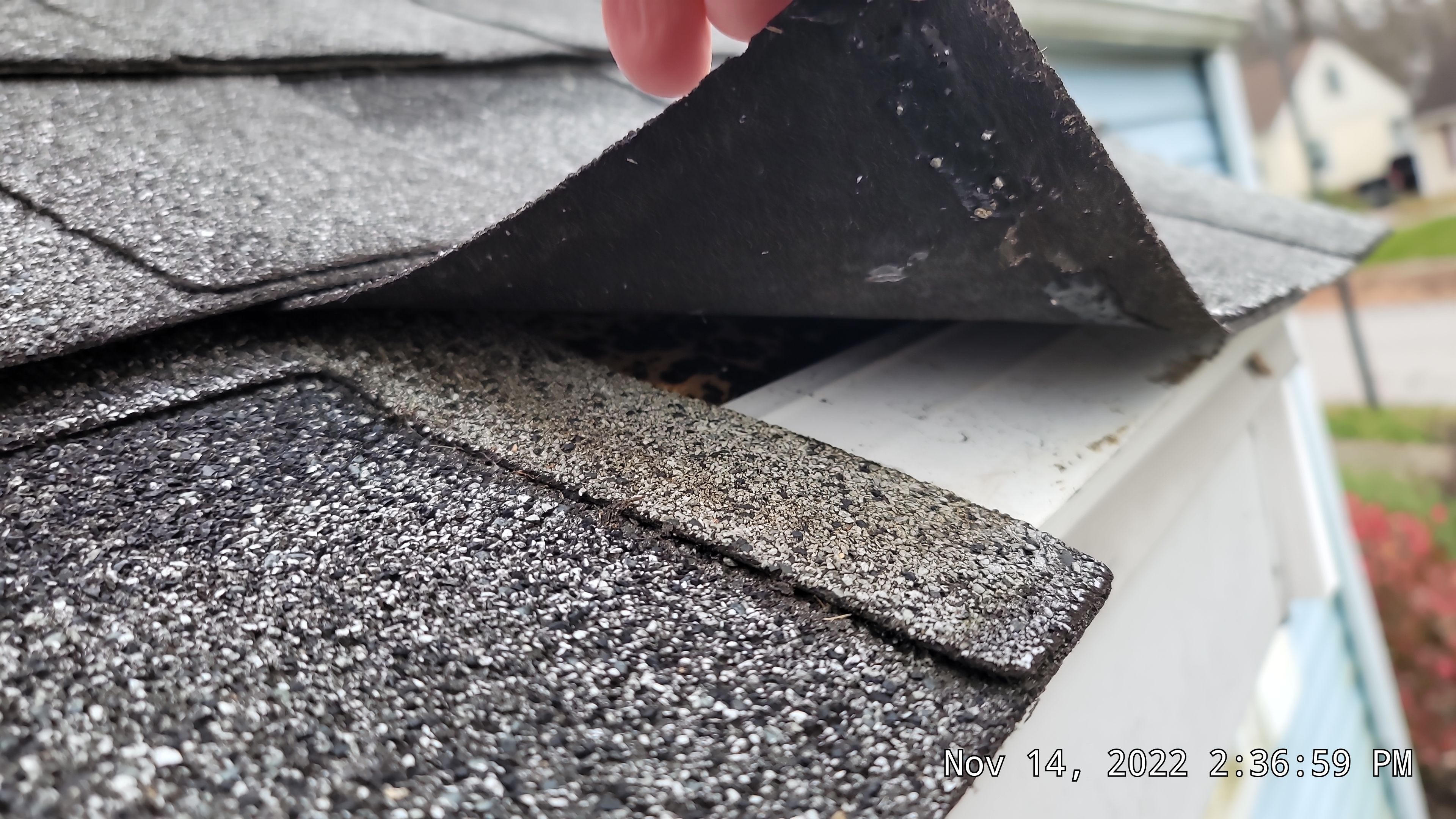 ATLAS PINNACLE COLOR: COASTAL GRANITE DRIP EDGE: BLACK by Eagle Eye Roofing