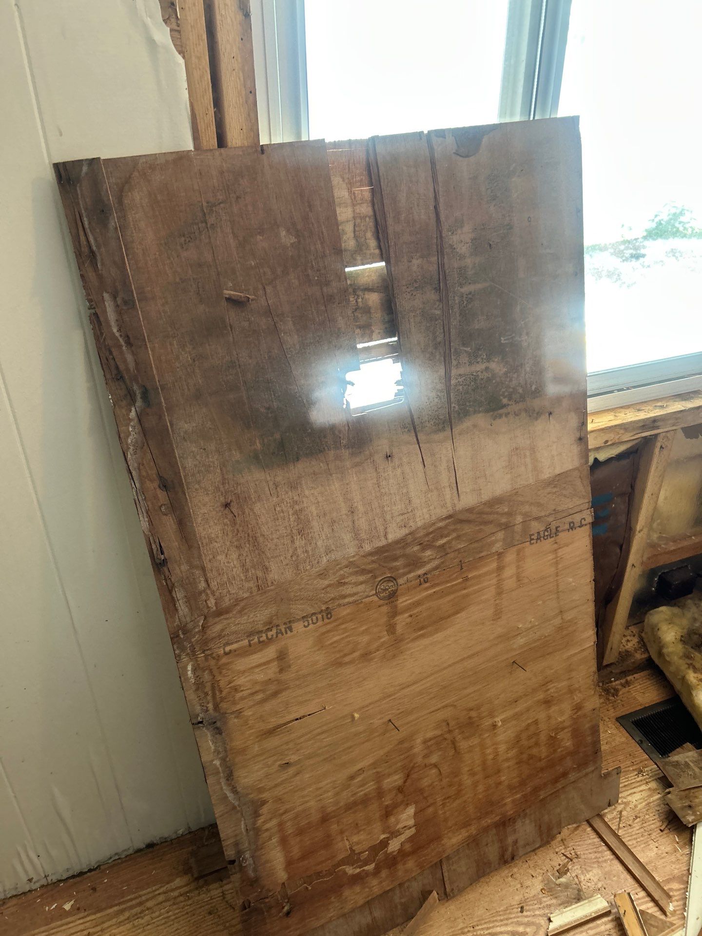 Mold Remediation Bradenton by Ampm Restoration Services 