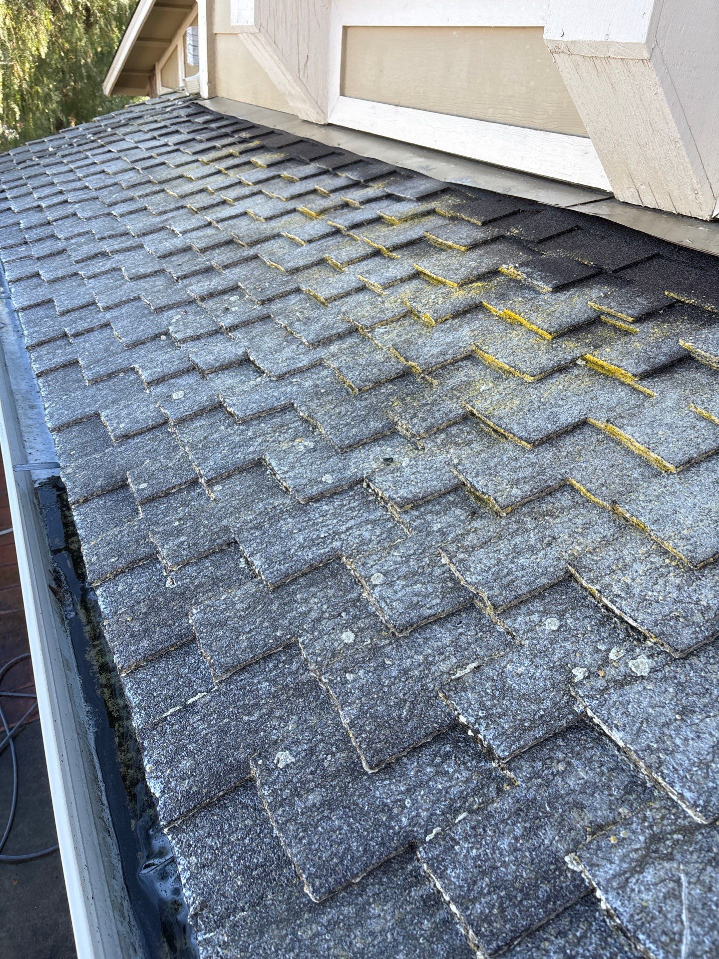Moss Removal by Top Elevation