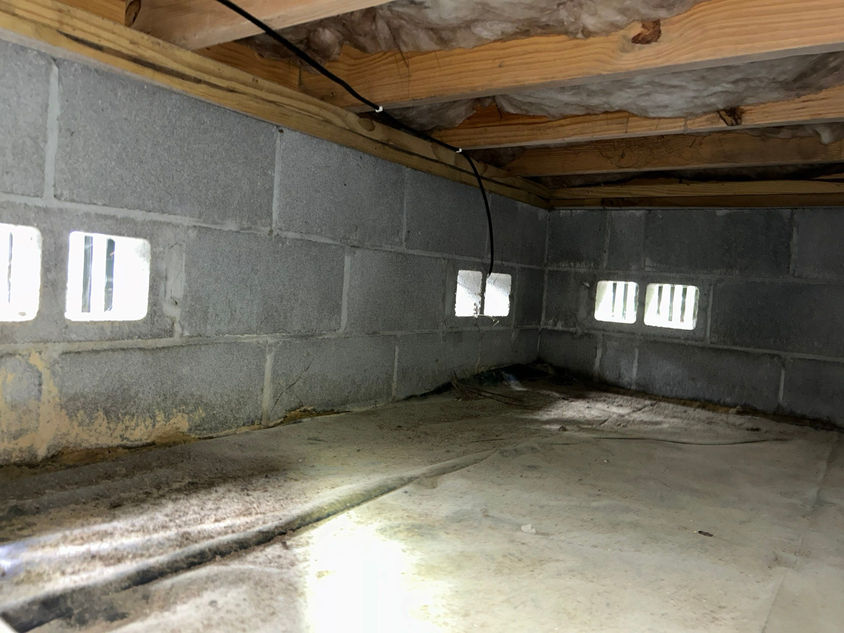 Premium Encapsulation with 20Mil, Borafoam insulation and Light System. by Impact Crawlspace