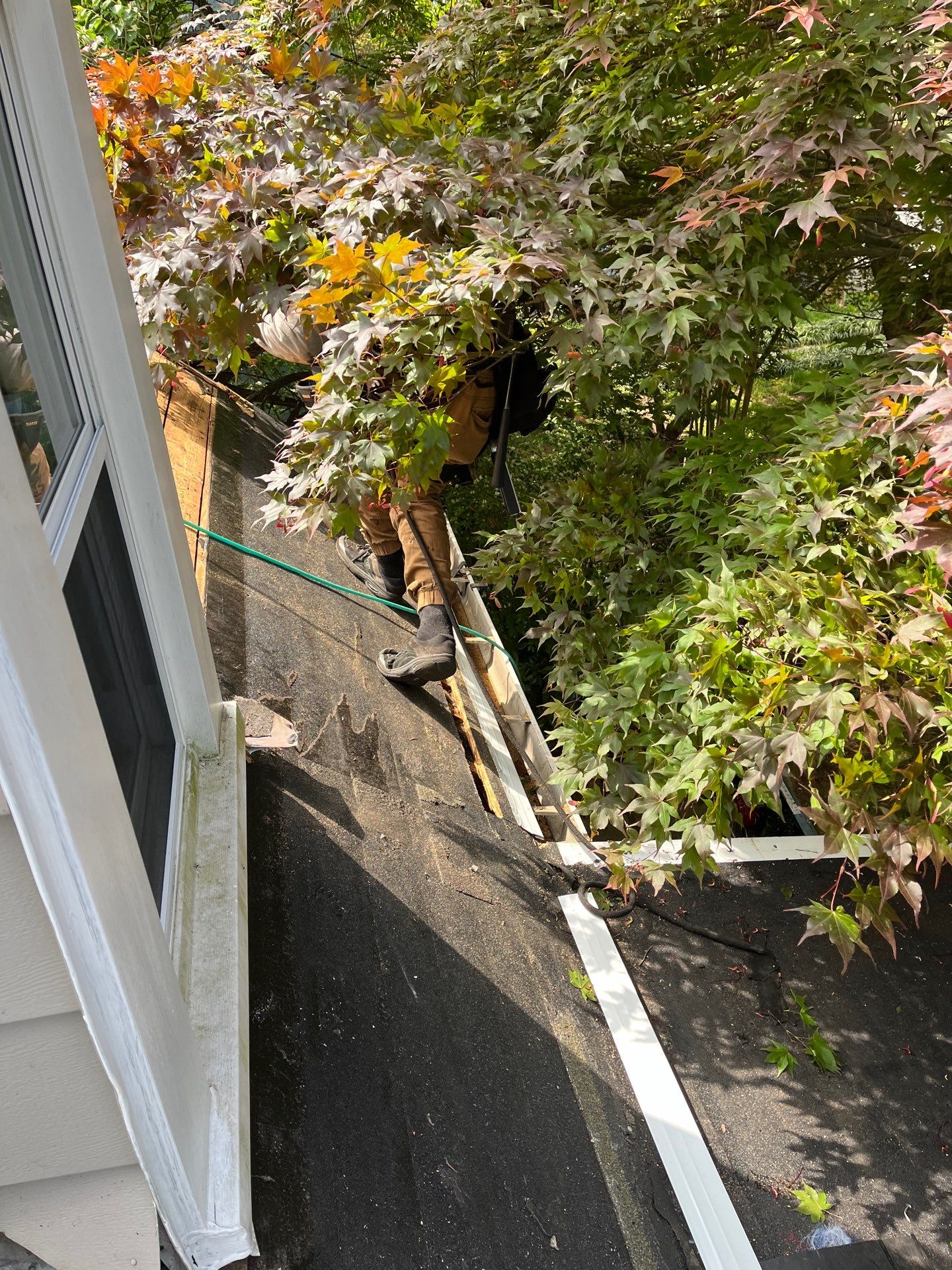 Falls Church: CertainTeed Landmark Pro Designer Shingles in Max Def Pewter by RM Banning, Inc.