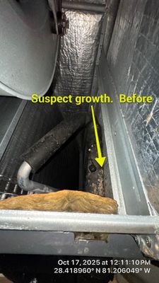 Air Duct and Bathroom Exhaust Cleaning in Orlando