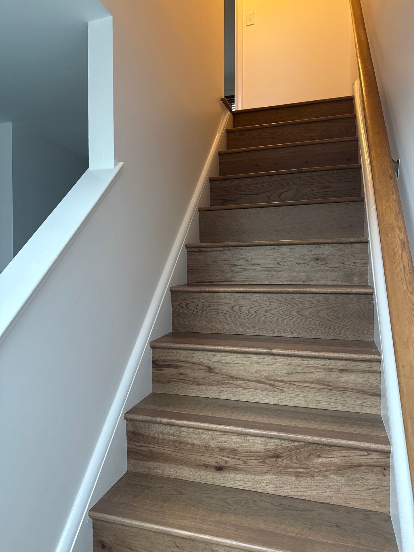 Whole-Home Interior Transformation in Bella Vista by Groovy Hues