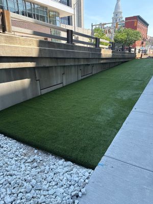 K9Grass in Lafayette