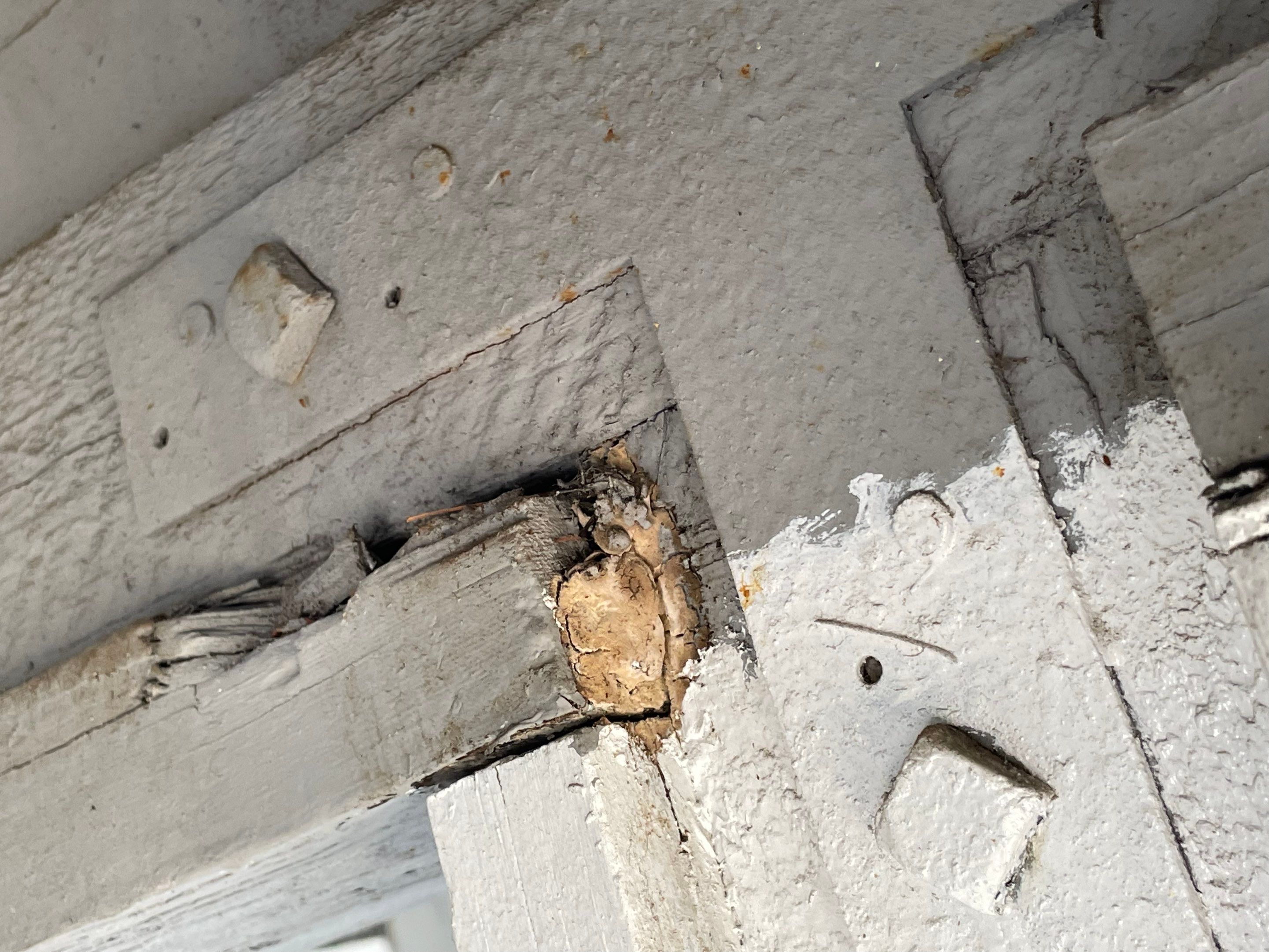 Wood Destroying Organisms Report by GLOBAL Termite Solutions