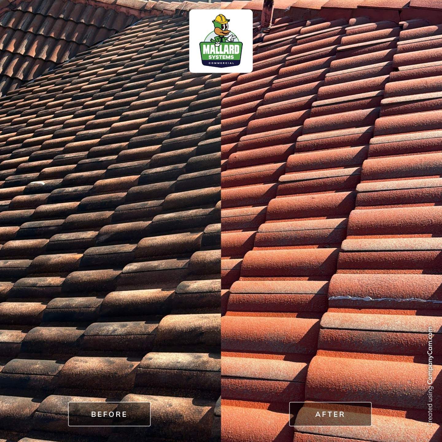 Residential Roof Cleaning in Dr. Phillips by Mallard Systems