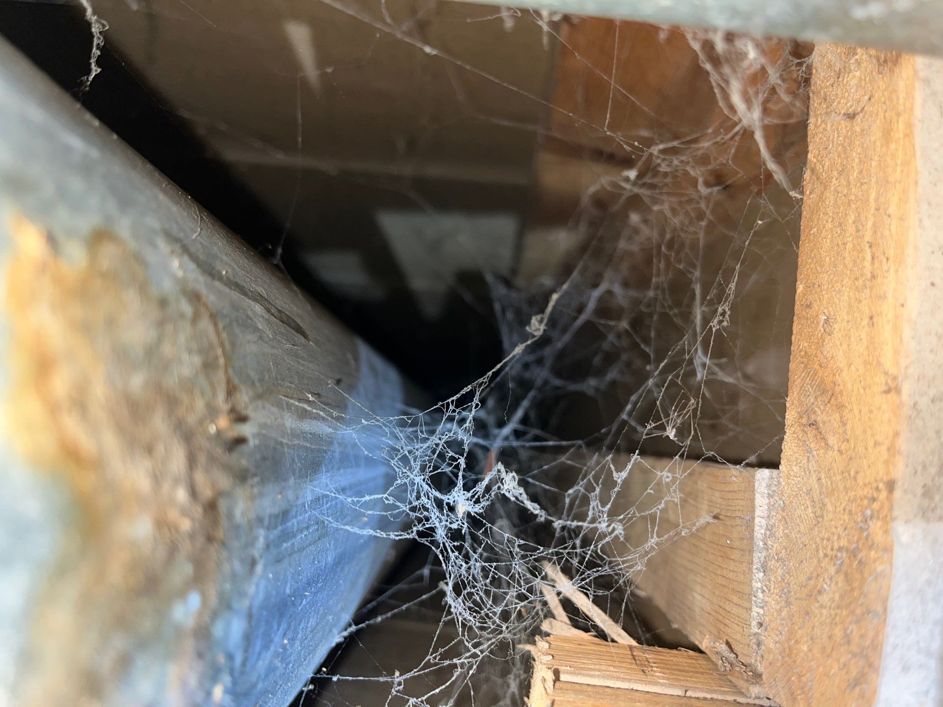 Addressing Attic Mold and Upgrading Insulation in Cranberry Township, PA 16066 by Home Environment Solutions
