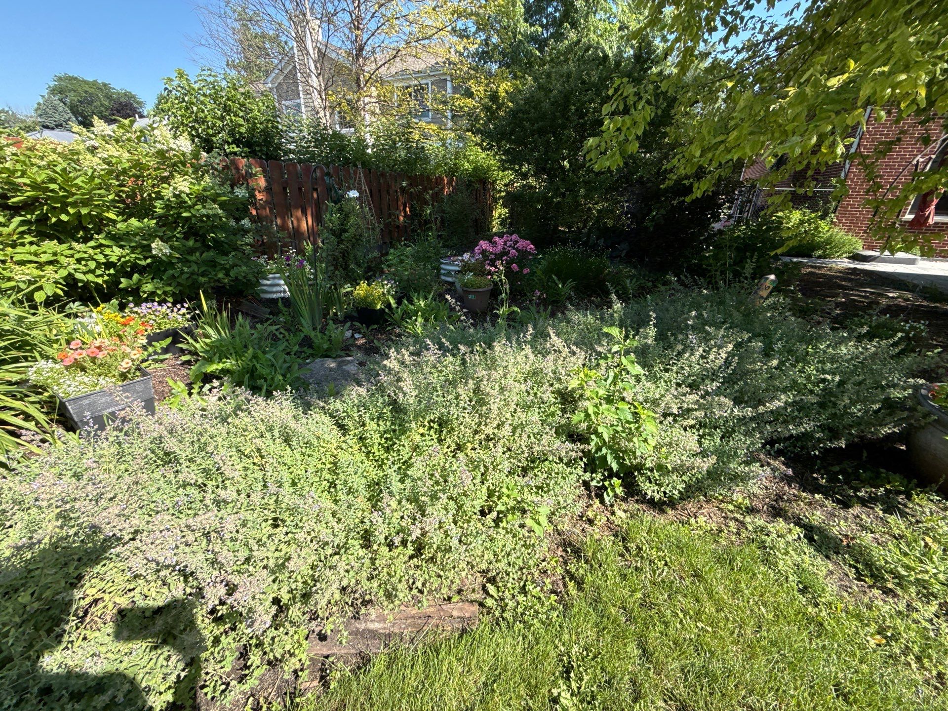 Rob M. - Arlington Heights, IL by A&N 