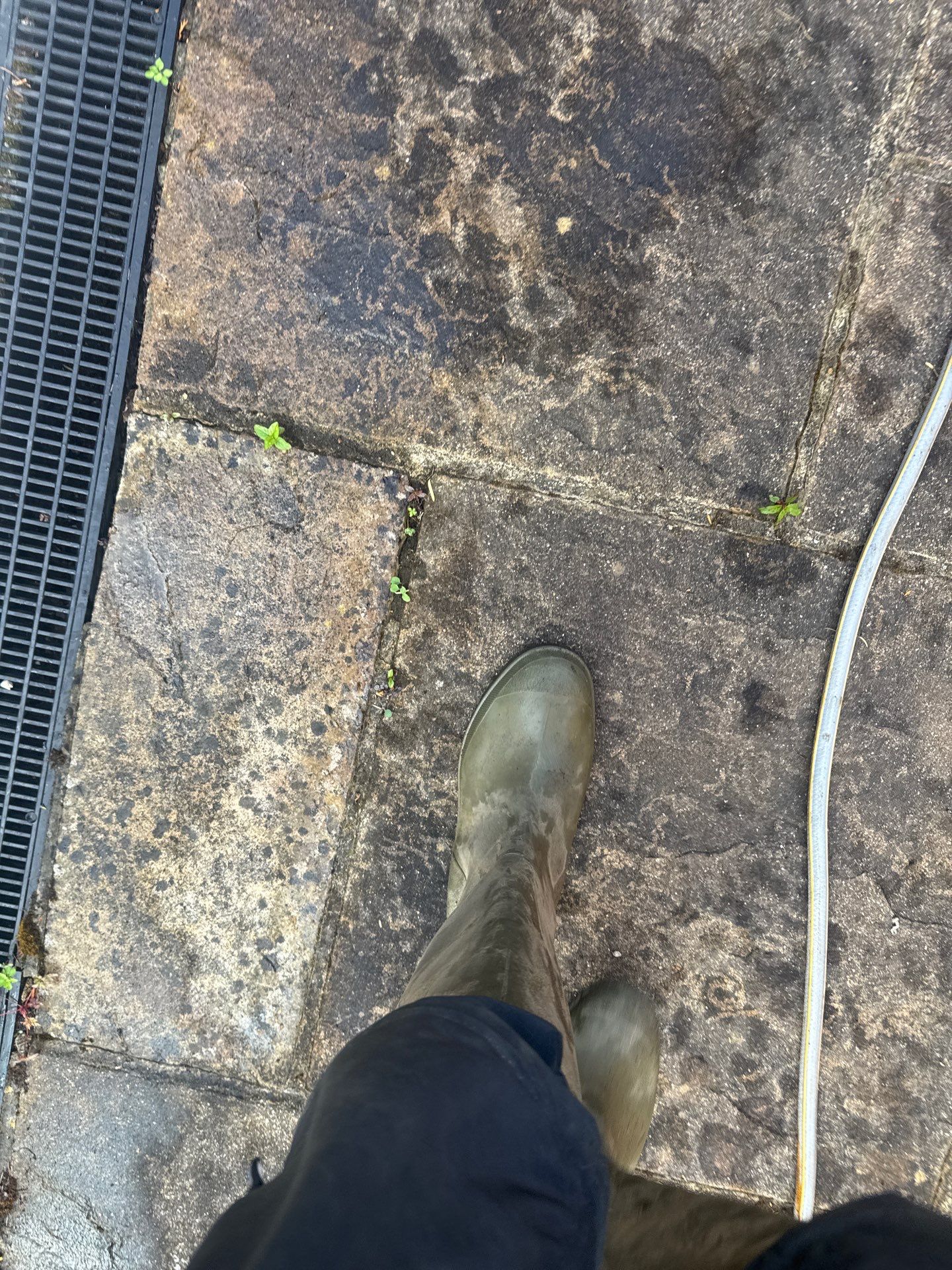 Patio Clean by Ges Exterior Cleaning ltd