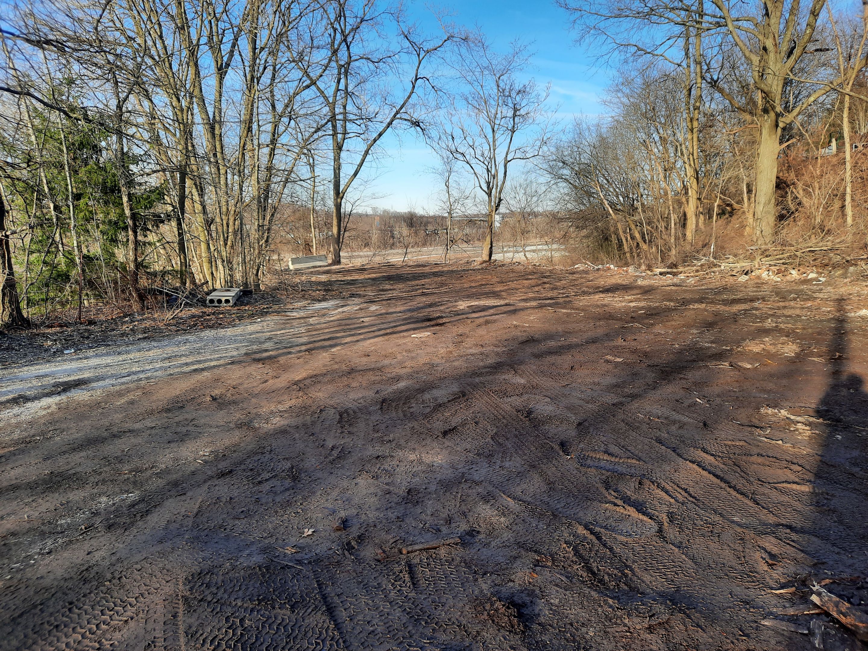 Tree Removal using Tree Removal by Mike Jones & Sons Tree Service LLC 