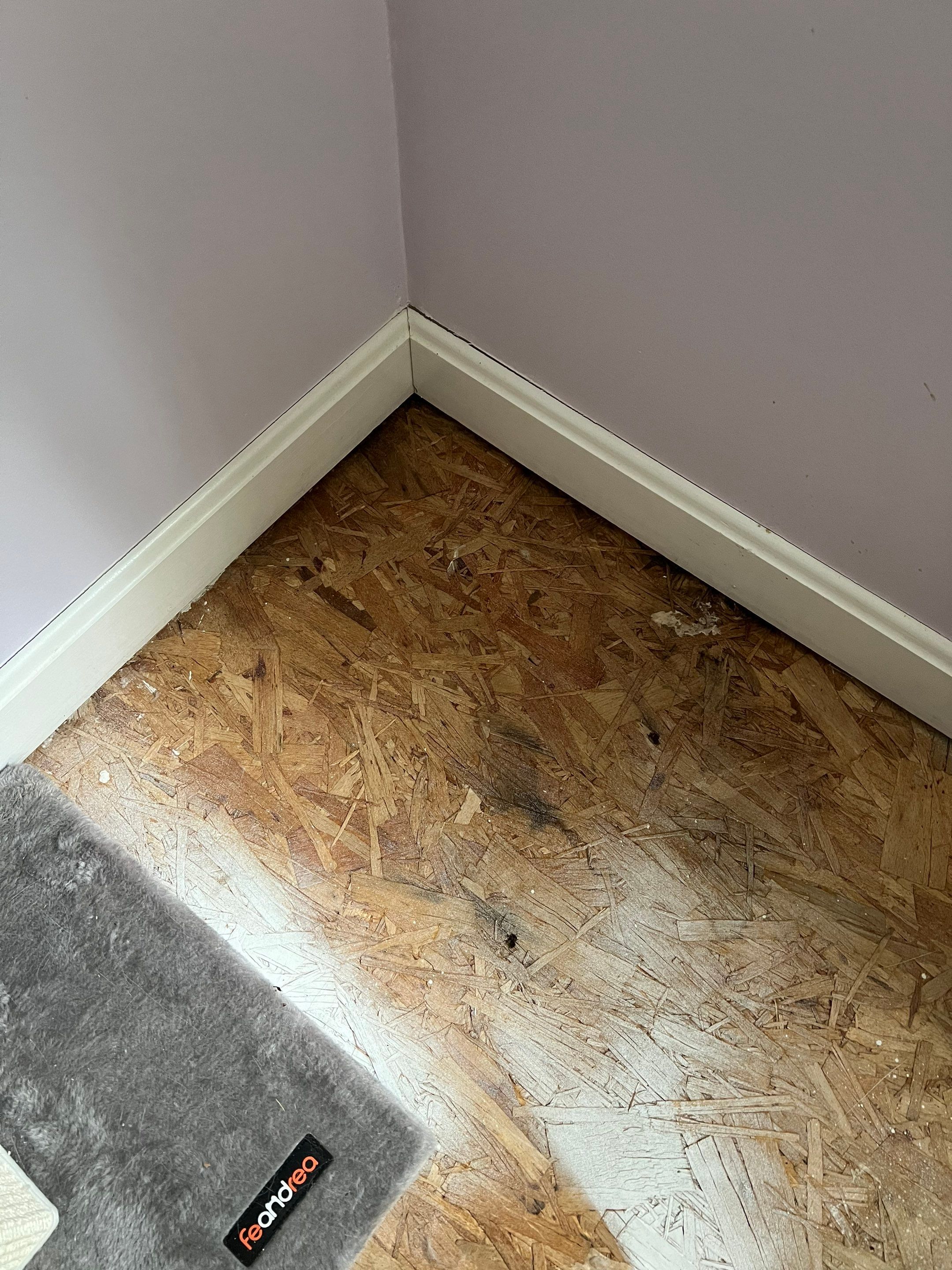Siding | Chelmsford by Mighty Dog Roofing of Greater Middlesex County