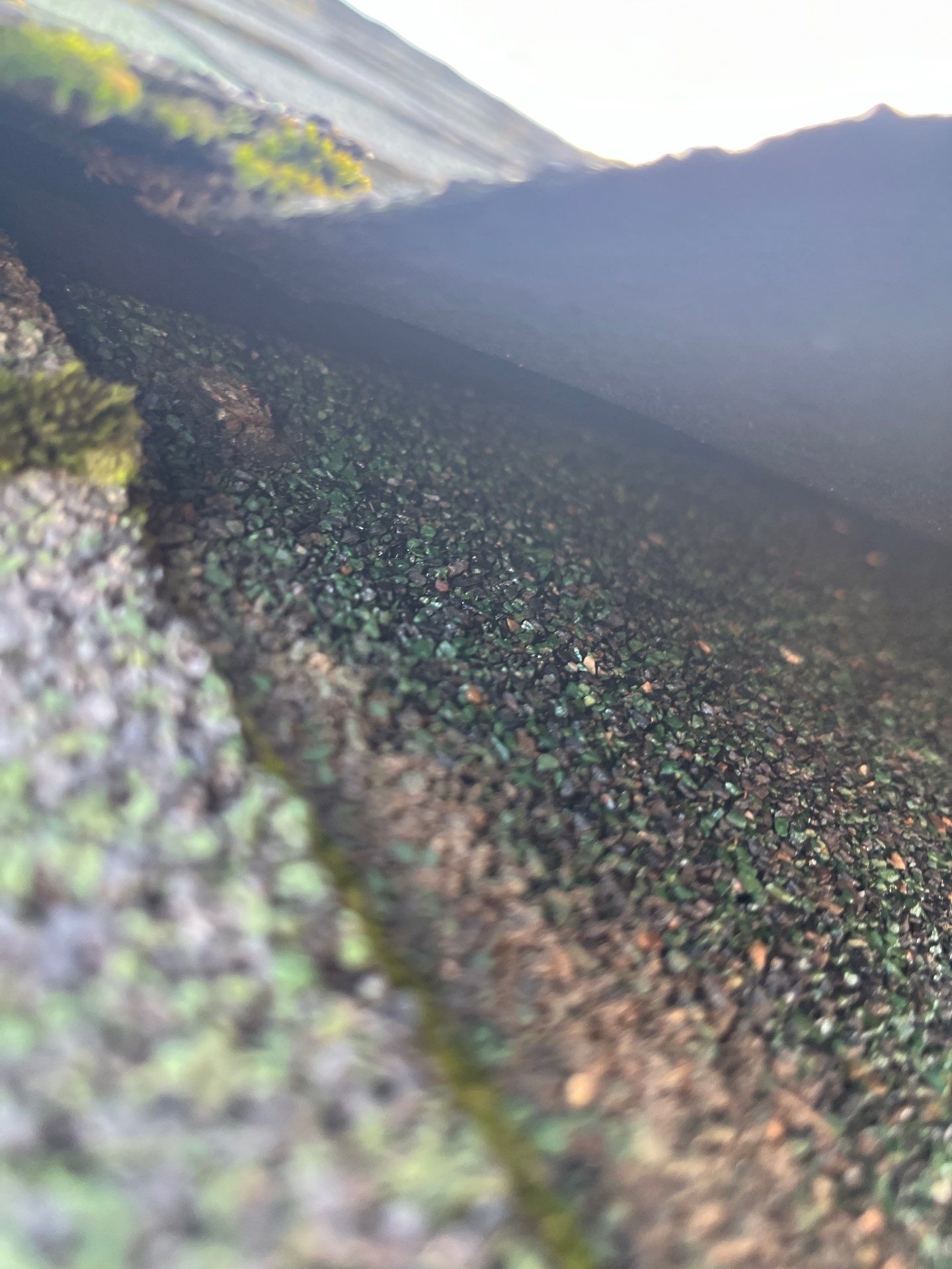 Project in Spokane by Connolly Construction Company