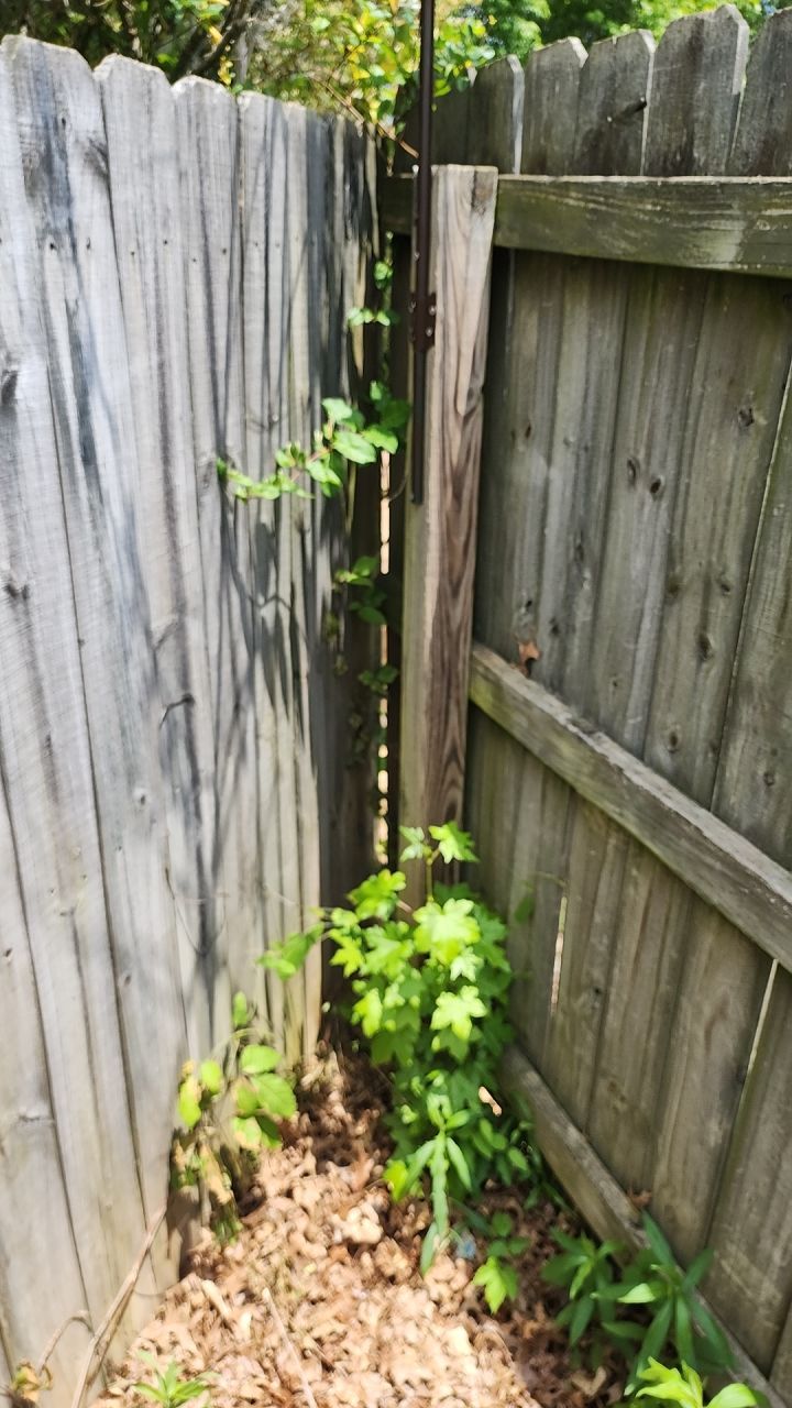 8 Foot Wood Privacy Fence Installation by Titans of Timber Fence & Stain