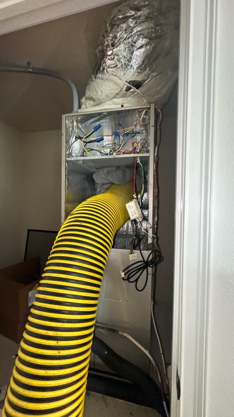Air Duct Cleaning in Minneola by Hygienic Air, Inc