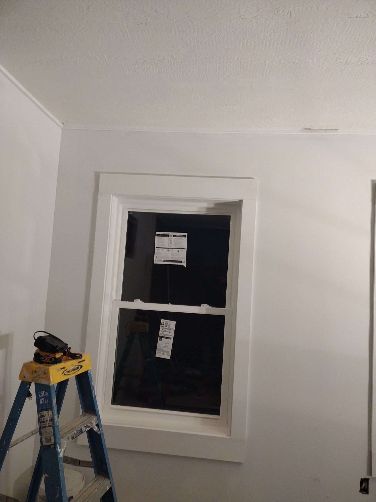 Puppy Room Conversion – Patio to Premium Pet Space by Johnny Five Construction 