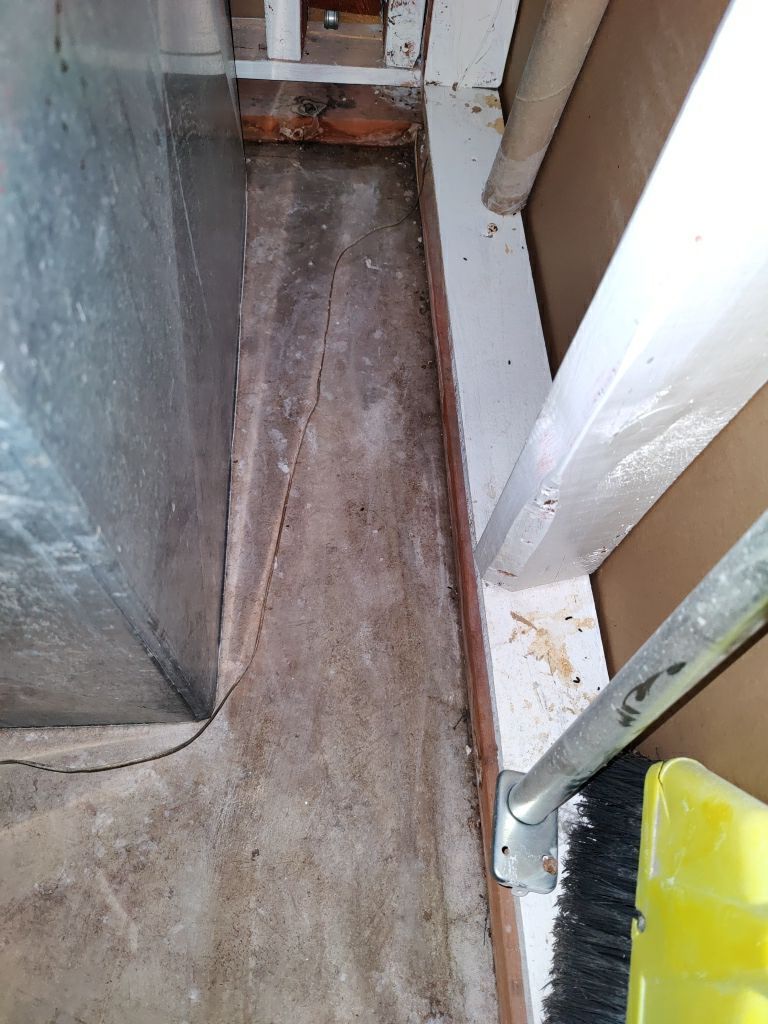 Sewage Backup Cleanup by Accountable Home Services