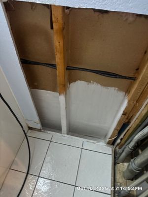 Black Mold Removal — Naples, FL