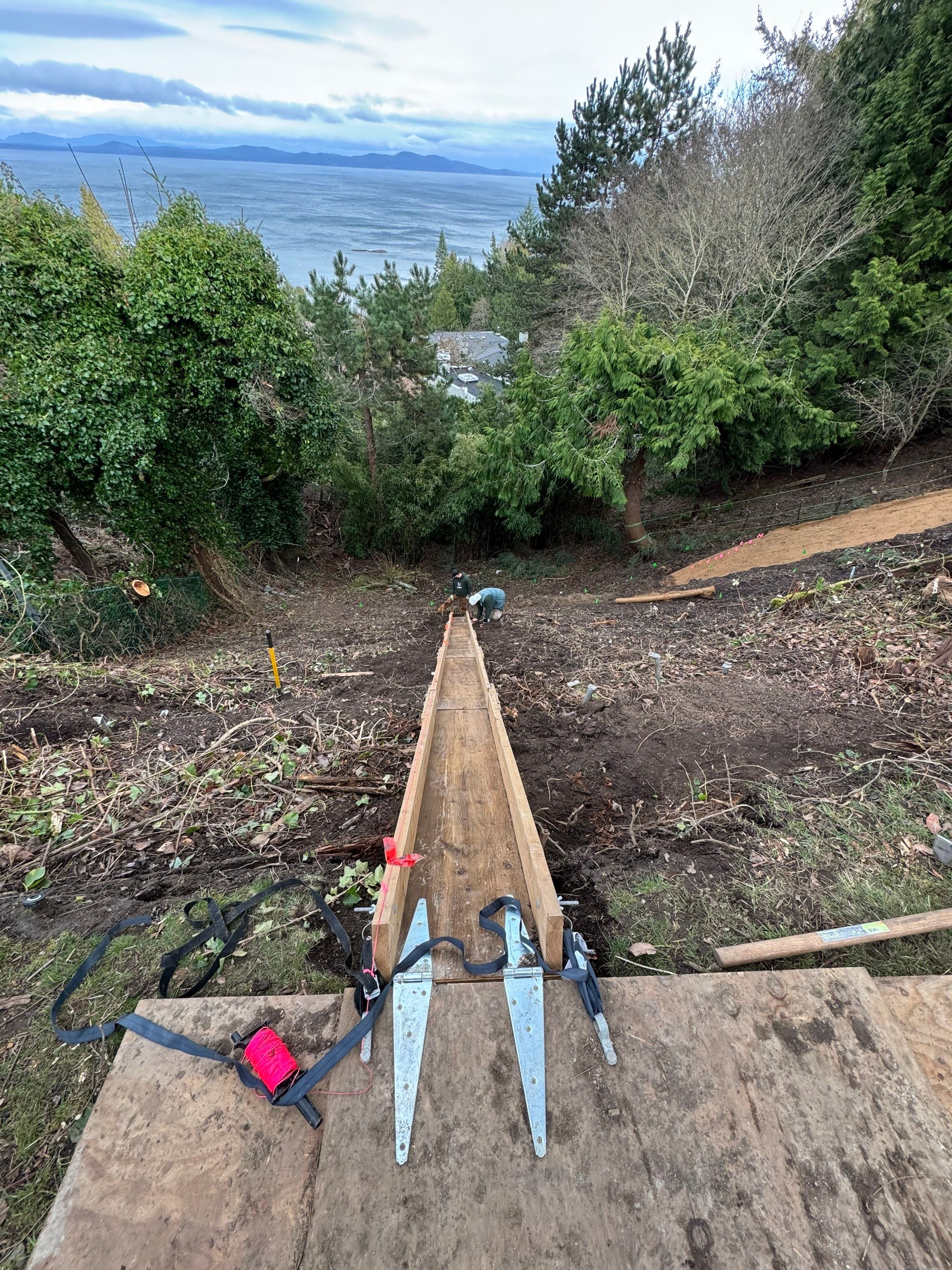 Georgia Park Terrace — Living Slope Transformation by Habanero Landscape Solutions
