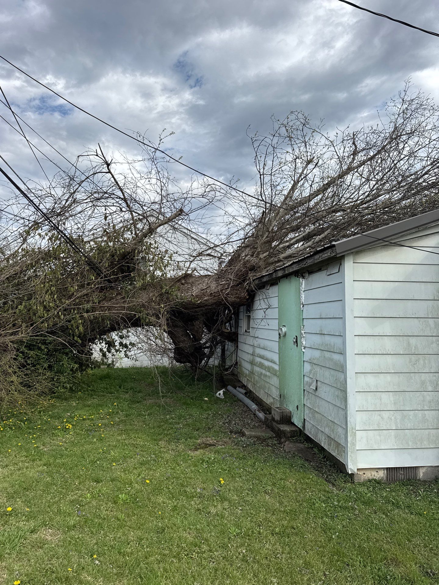 Project in Nitro, WV Rotator Crane Lifts Tree Off House | Nitro WV • One Wrong Move Job | Rotator Crane Tree Removal • Heavy Rescue Tree Job | Nitro WV • Extreme Tree Removal Over Home | Nitro WV by Jones Empire LLC