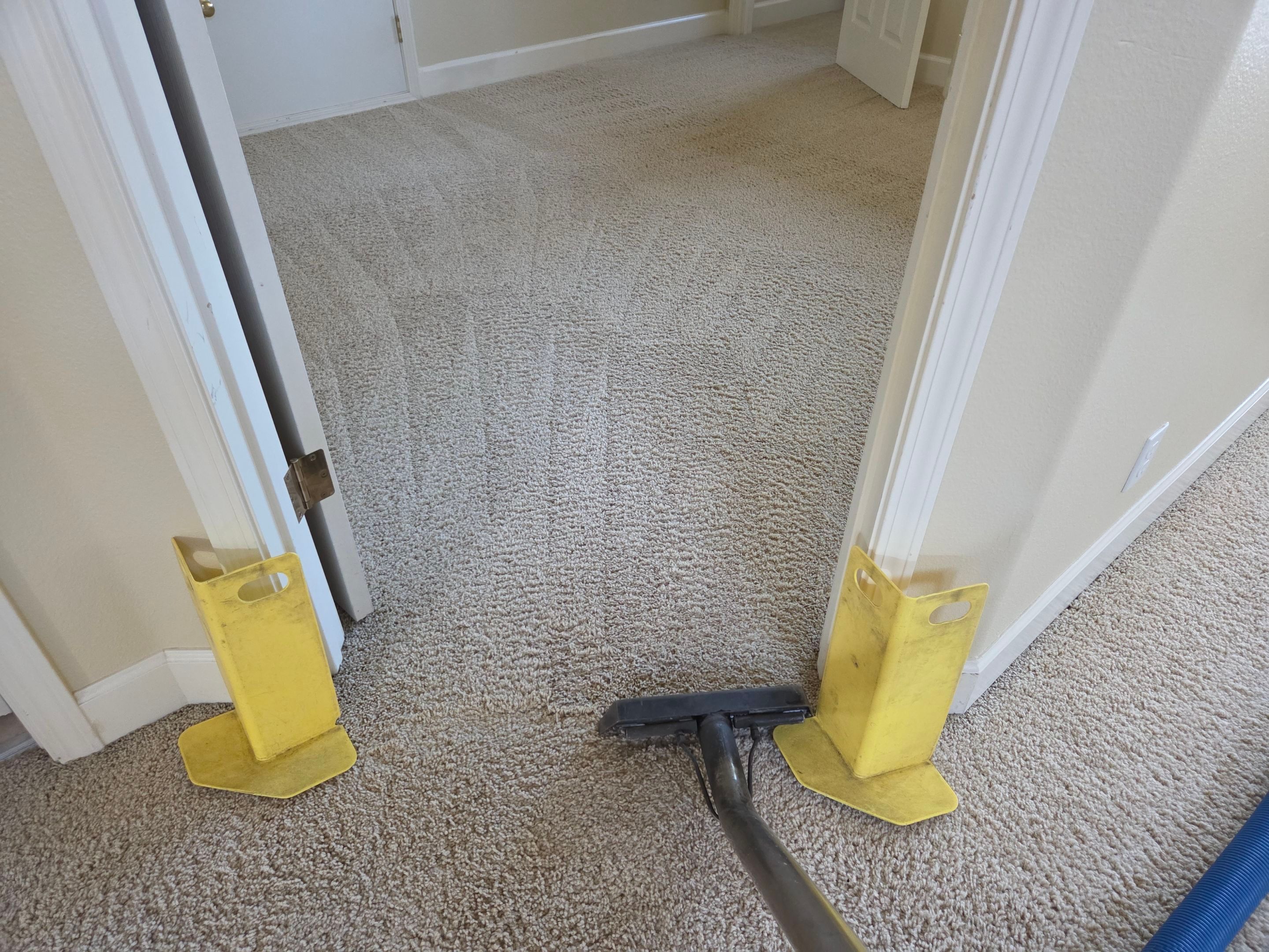 Carpet Cleaning and Stain Removal in Shingle Springs by Ardent Carpet Restore LLC