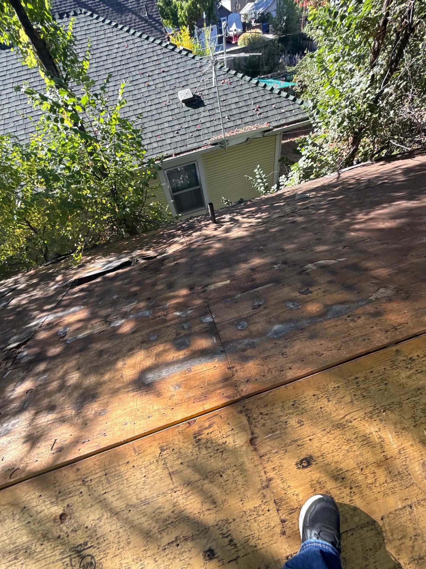 Boise Residential Roof Replacement Featuring Architectural Shingles and New Decking by Olive Roofing