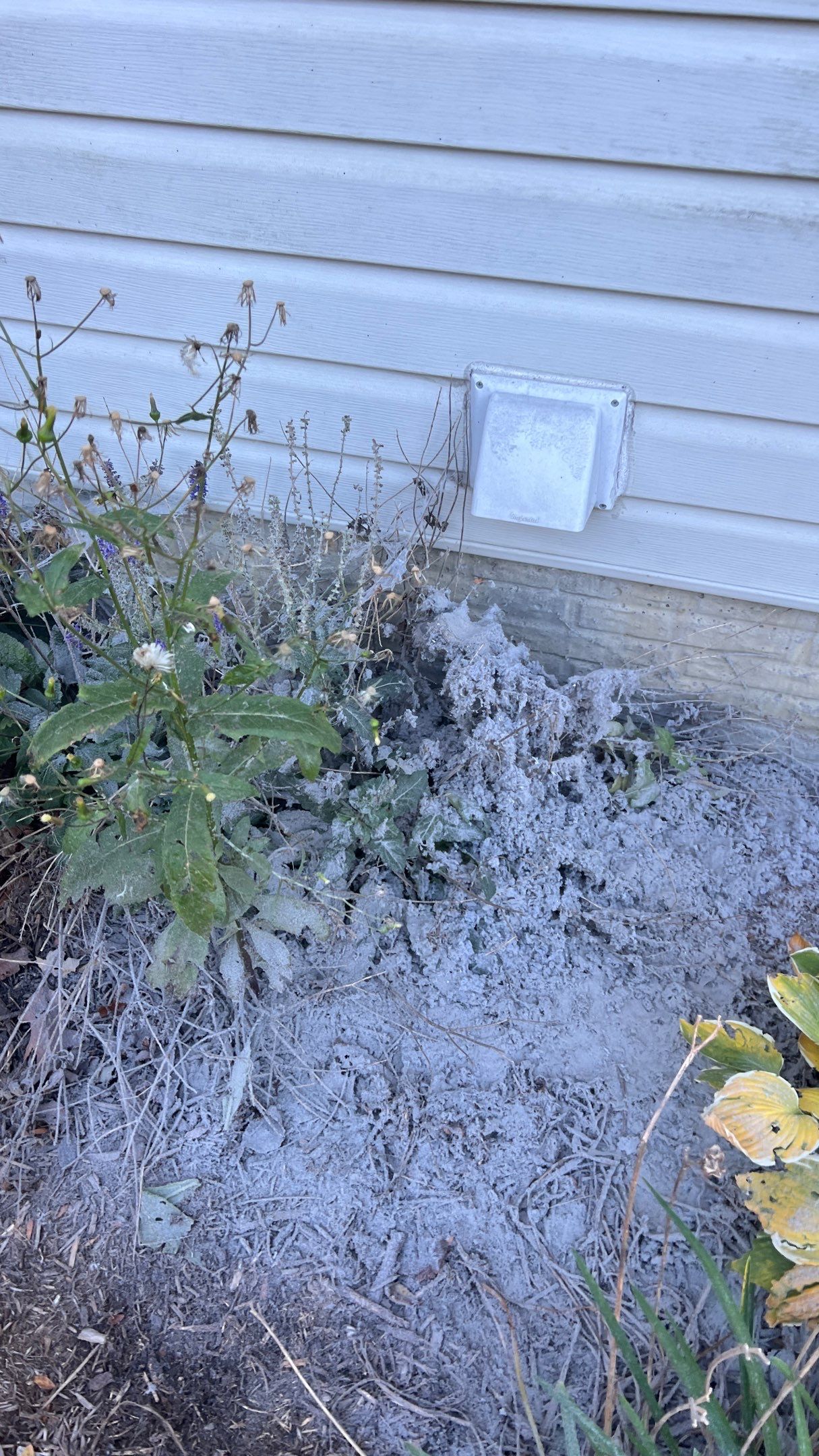 Dryer Vent Cleaning in Grove City, PA by Superior Air Duct Cleaning