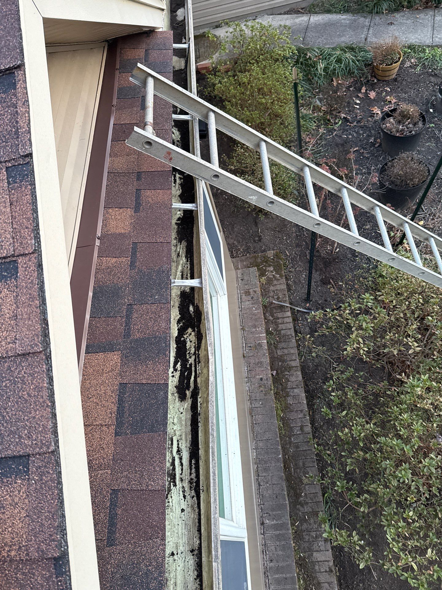 Fairfax: Residential Roof Replacement with CertainTeed Landmark Pro in Max Def Burnt Sienna by RM Banning, Inc.