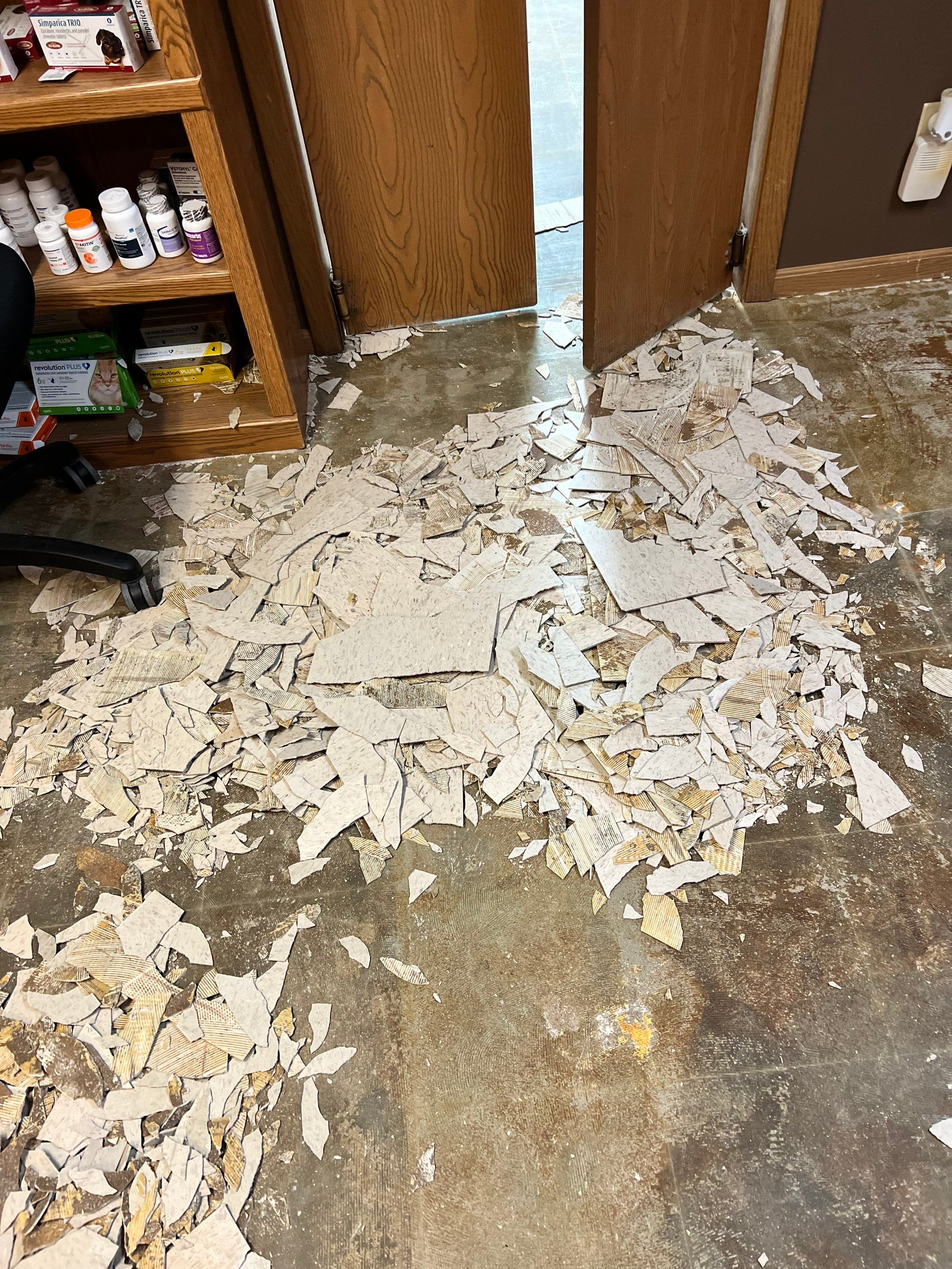 York Animal Clinic by Granite Garage Floors