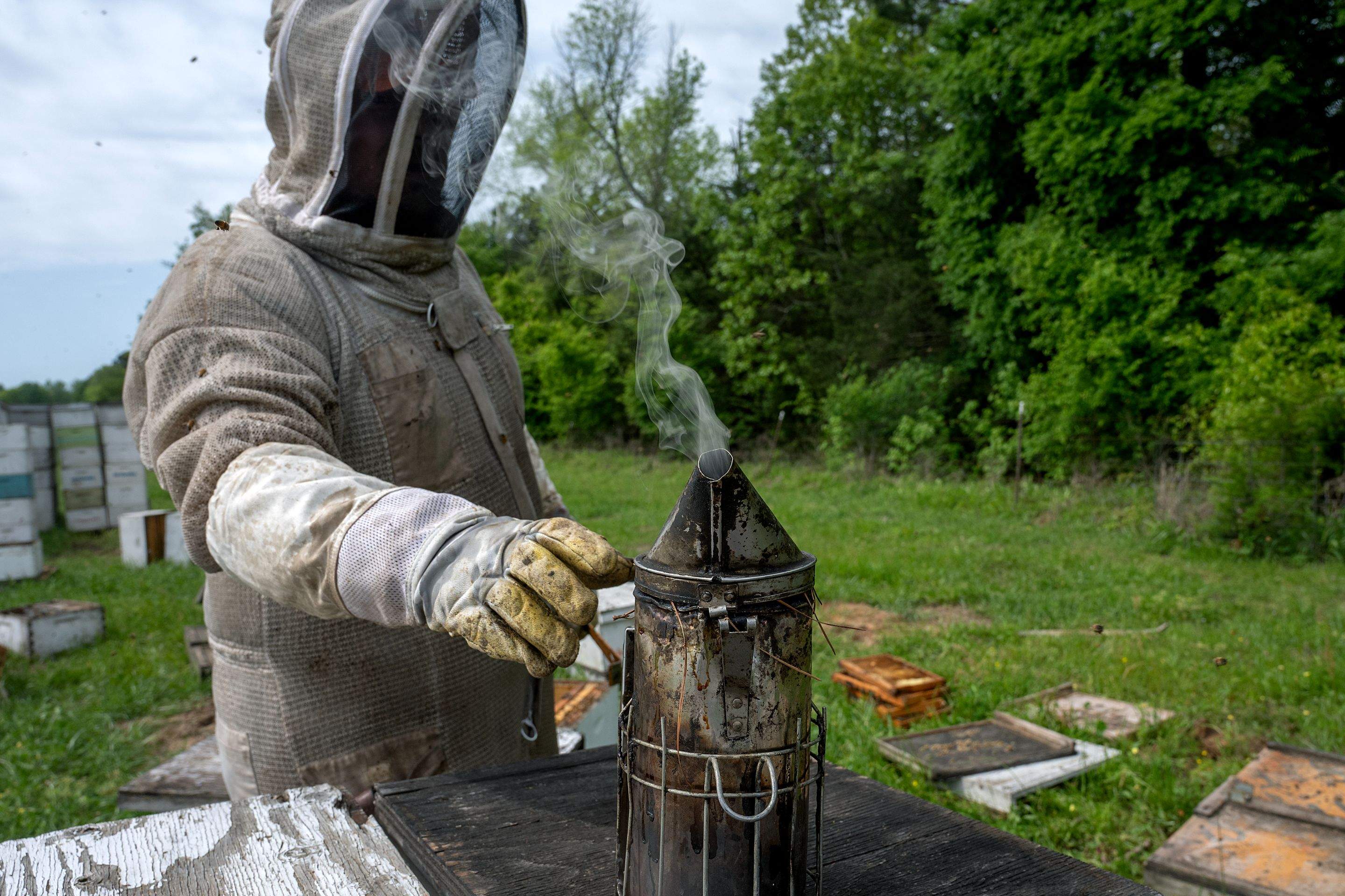 Splits in East Texas by Rockwall Honey Bee Company