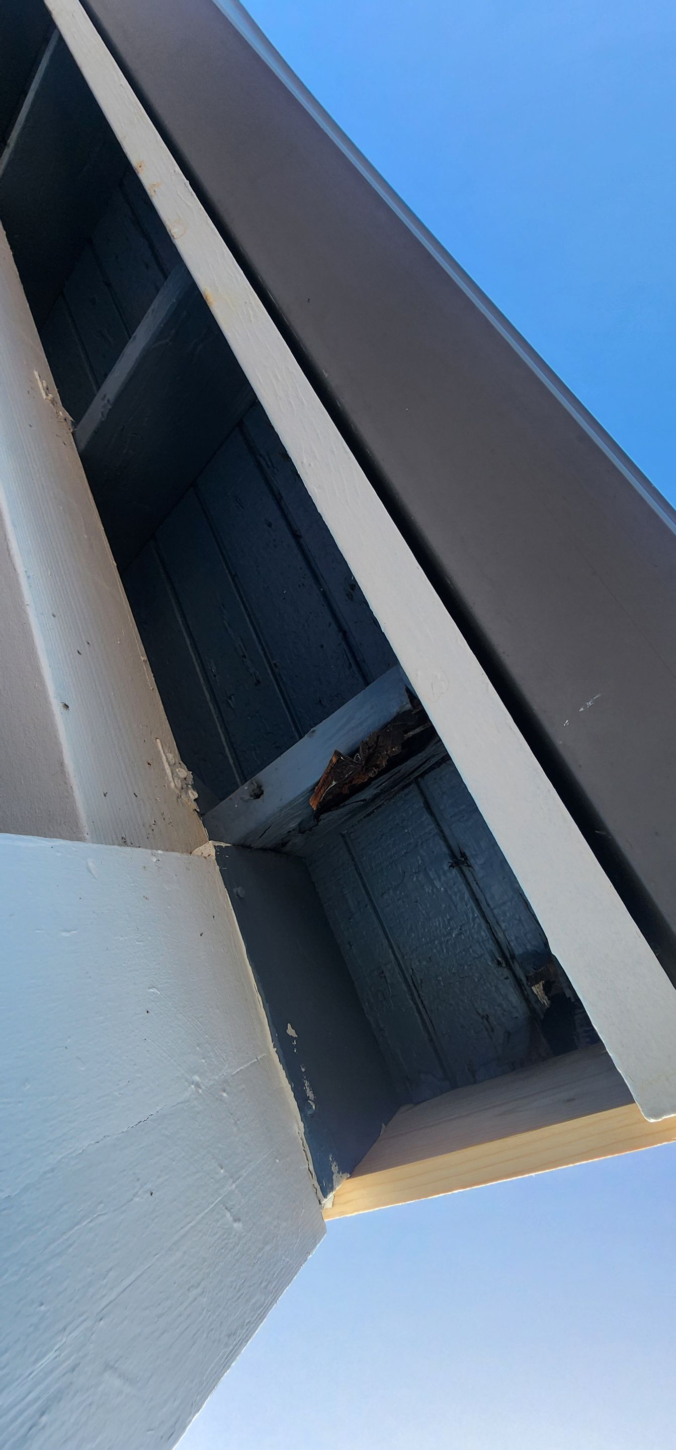 Project in Punta Gorda by Serene Construction