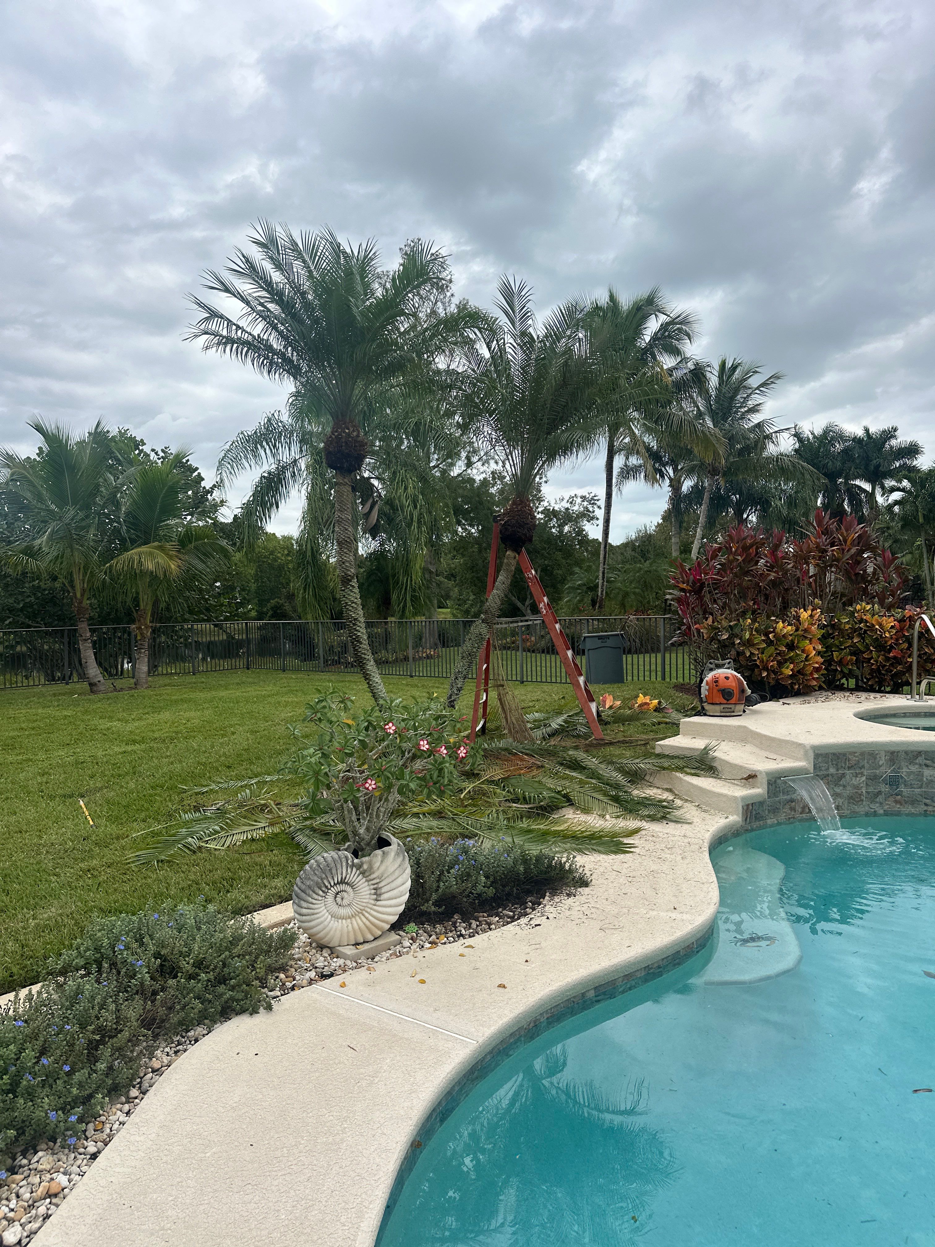 🌴✨ HAMMOCK CREEK SIGNATURE CLEANUP — THE ALPHA ZETA WAY ✨🌴 by Alpha Zeta Enterprises Inc