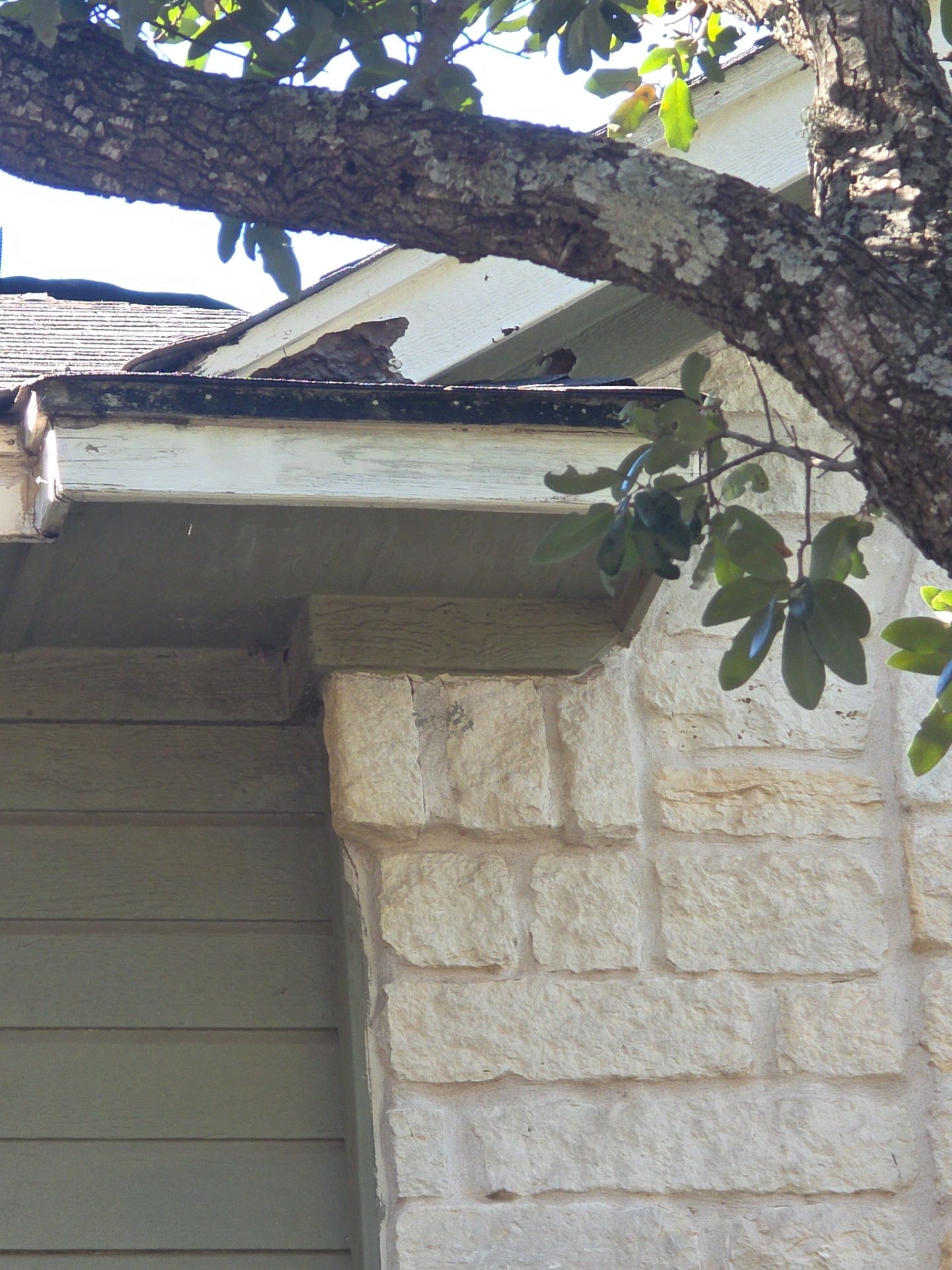 Just another roof ? by REPS OF TEXAS