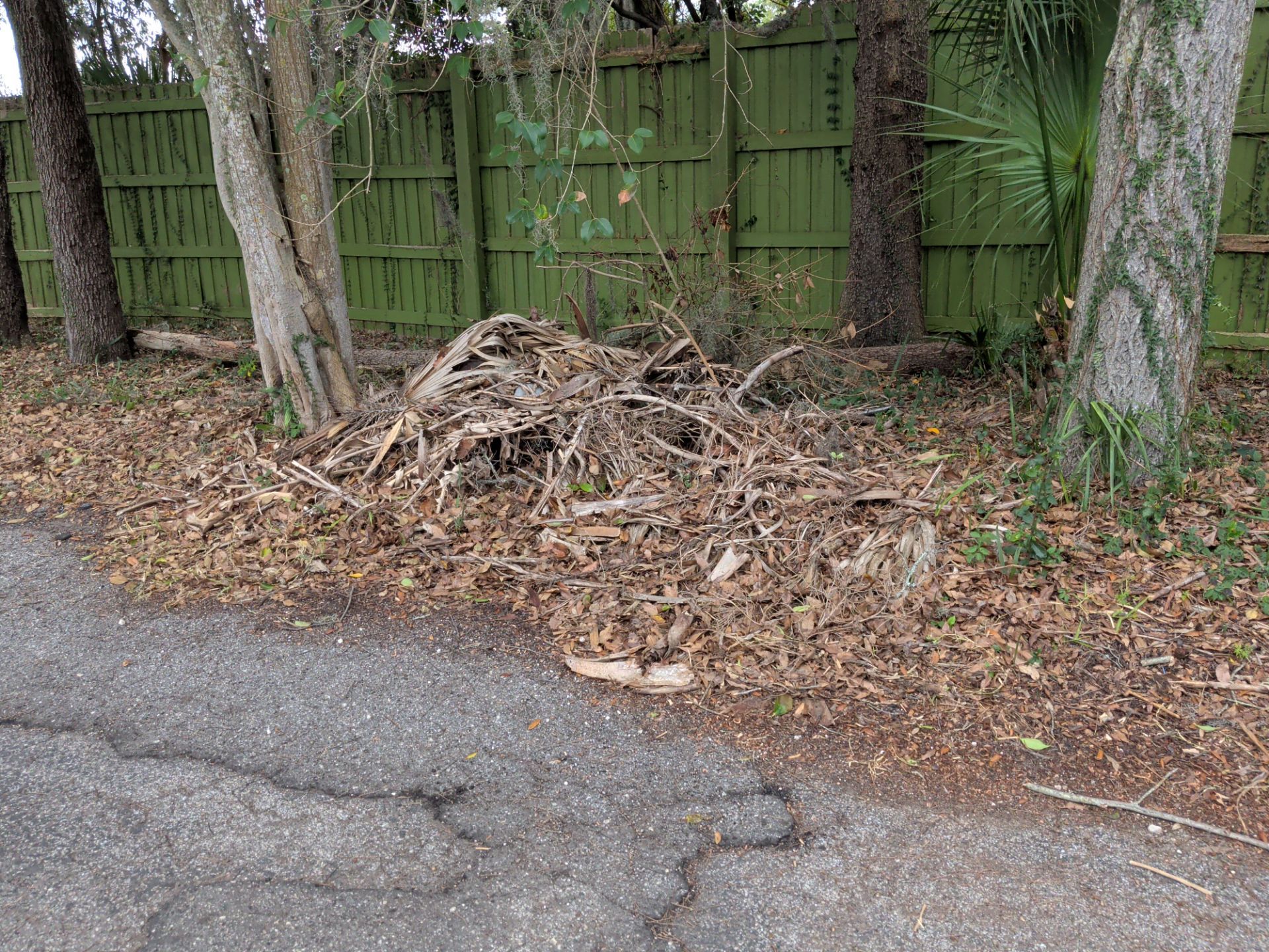 Apartment Landscape Cleanup & Ongoing Grounds Maintenance — Cimarron Apartments (Arlington) by Harmoni Home Services