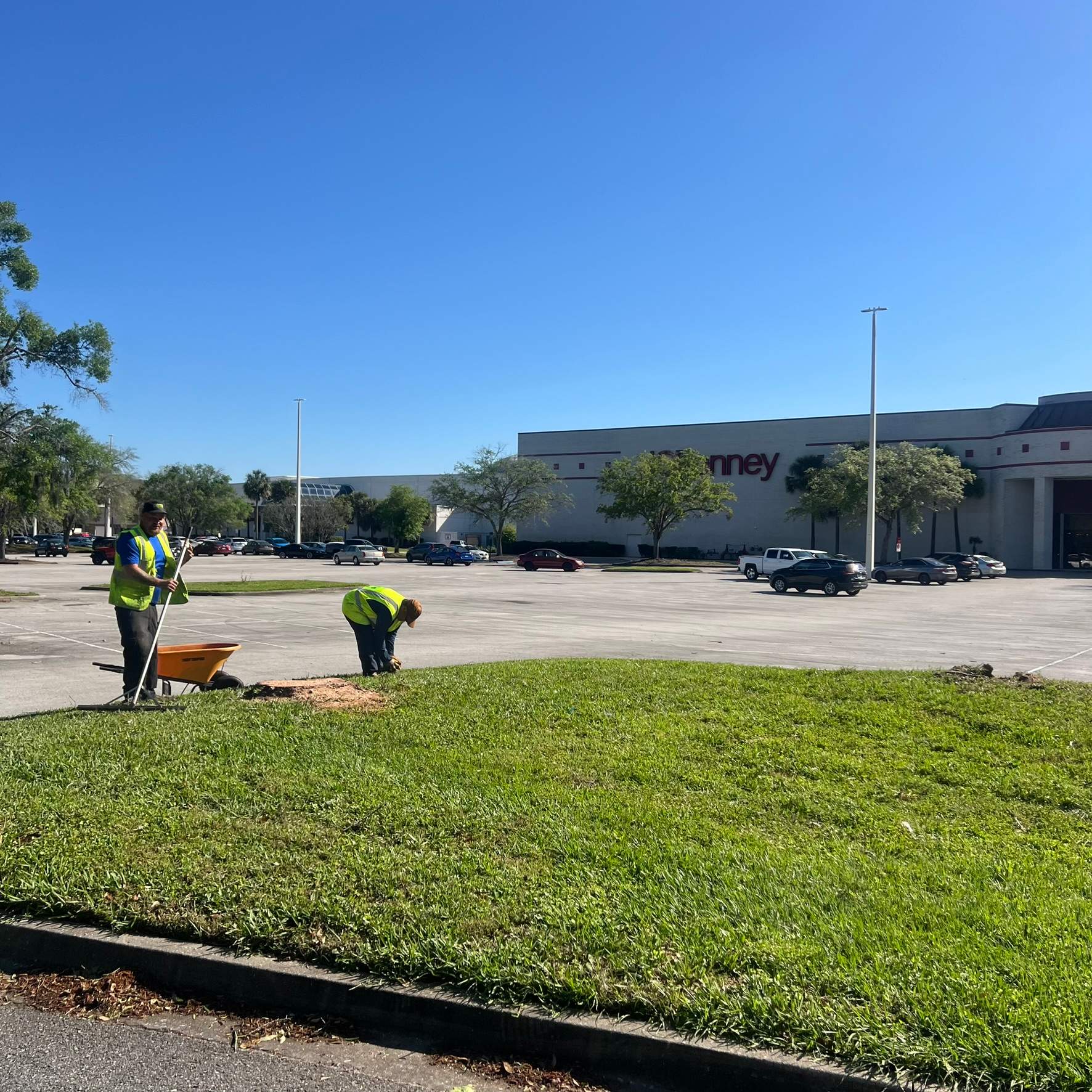 Tree Work | The Avenues Mall by ProGreen Services