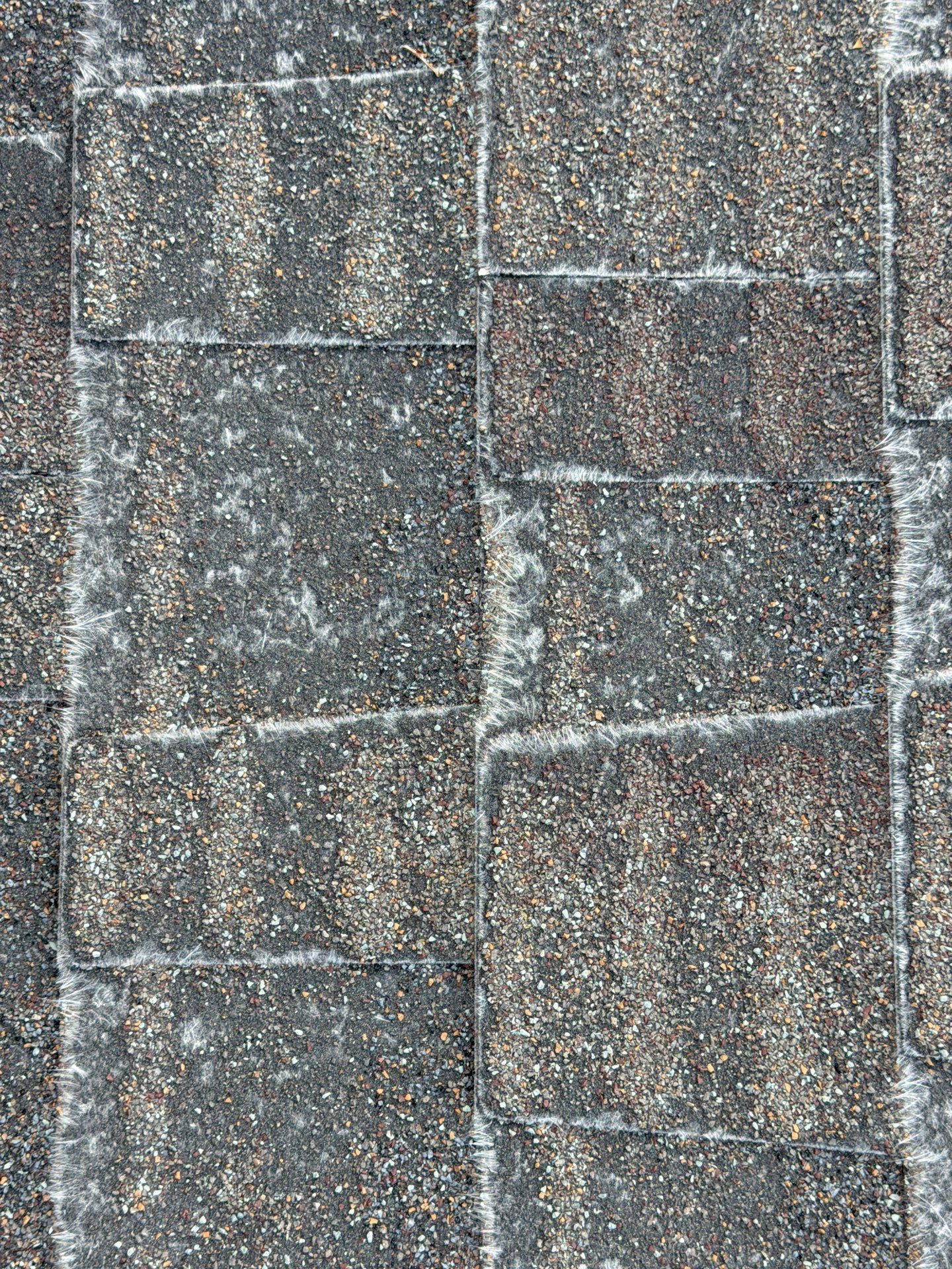 Residential Roof Replacement and Decking Repair in Boise by Olive Roofing