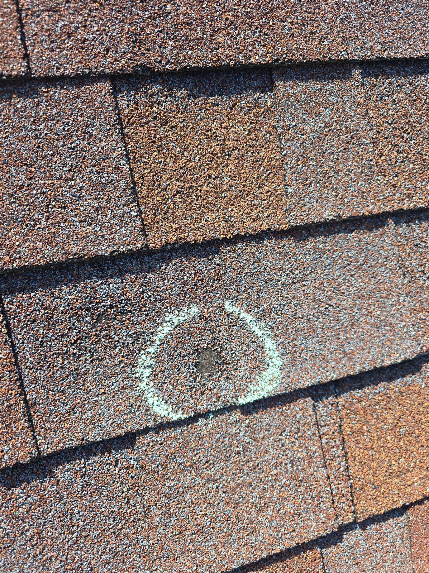 Oak Brook Architectural Shingle Roof Replacement and Velux Skylight Upgrade by Roof One